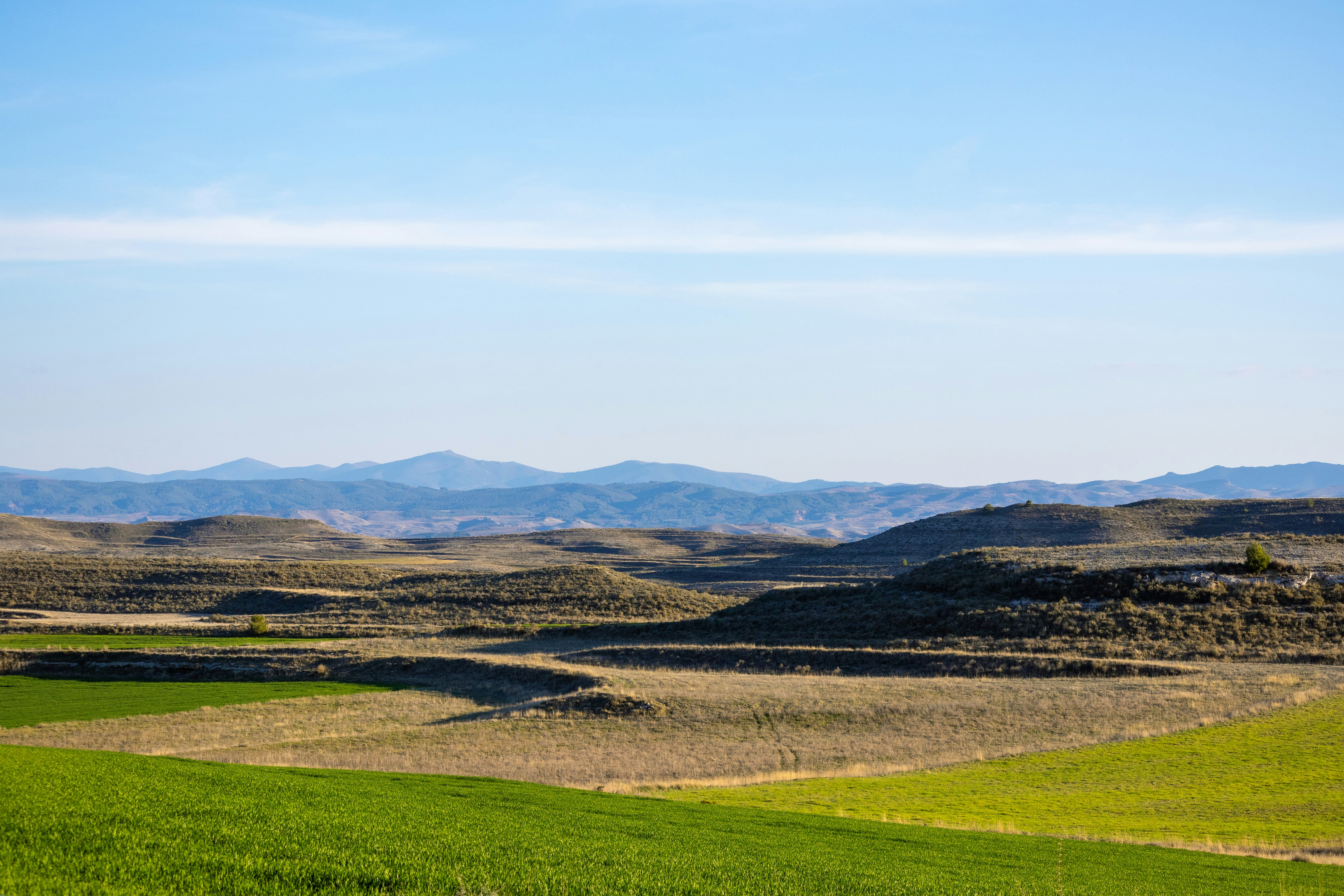 Photo by a_skaldsson