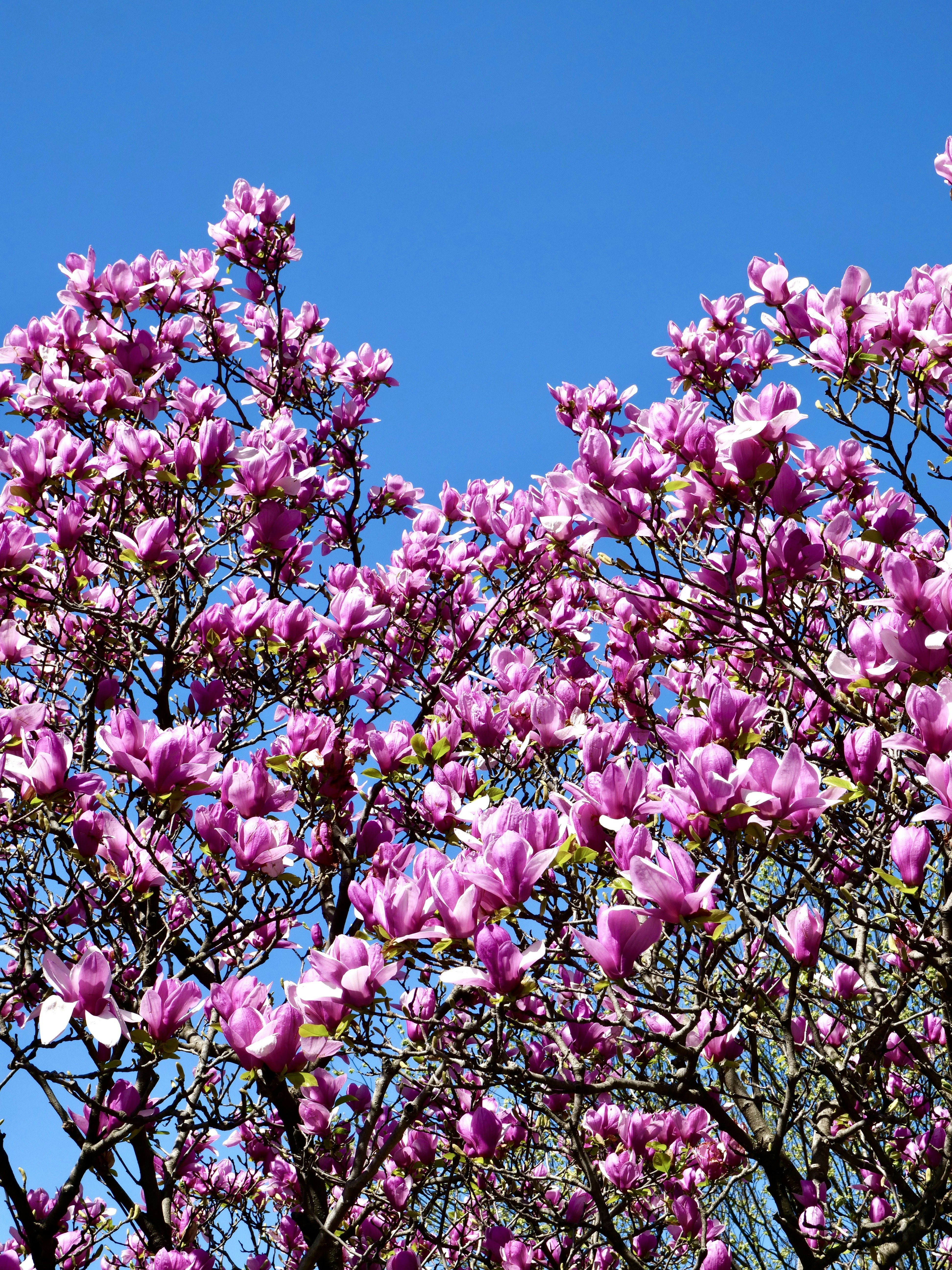 Photo by sschusterphotoart