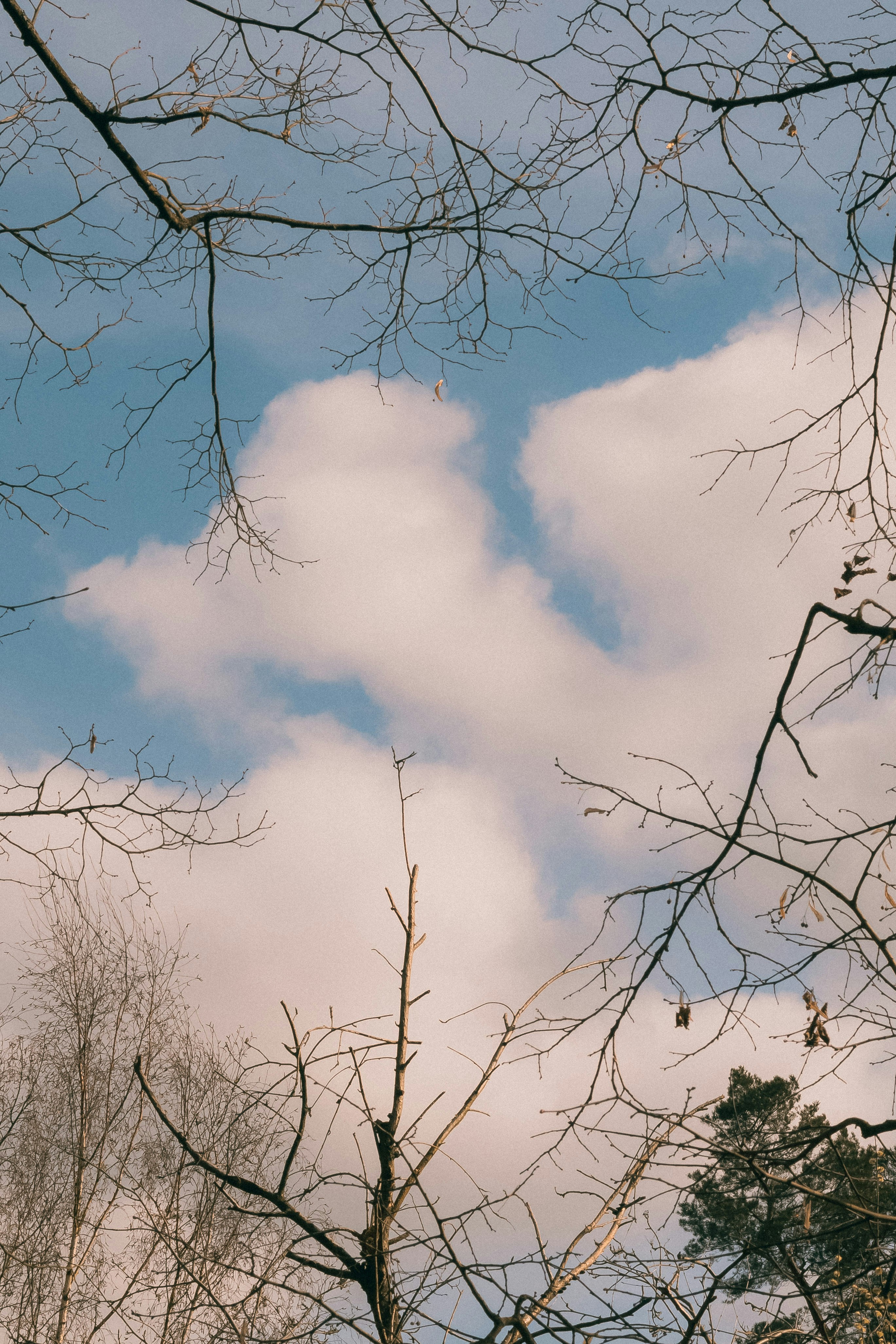 Photo by arlindphotography