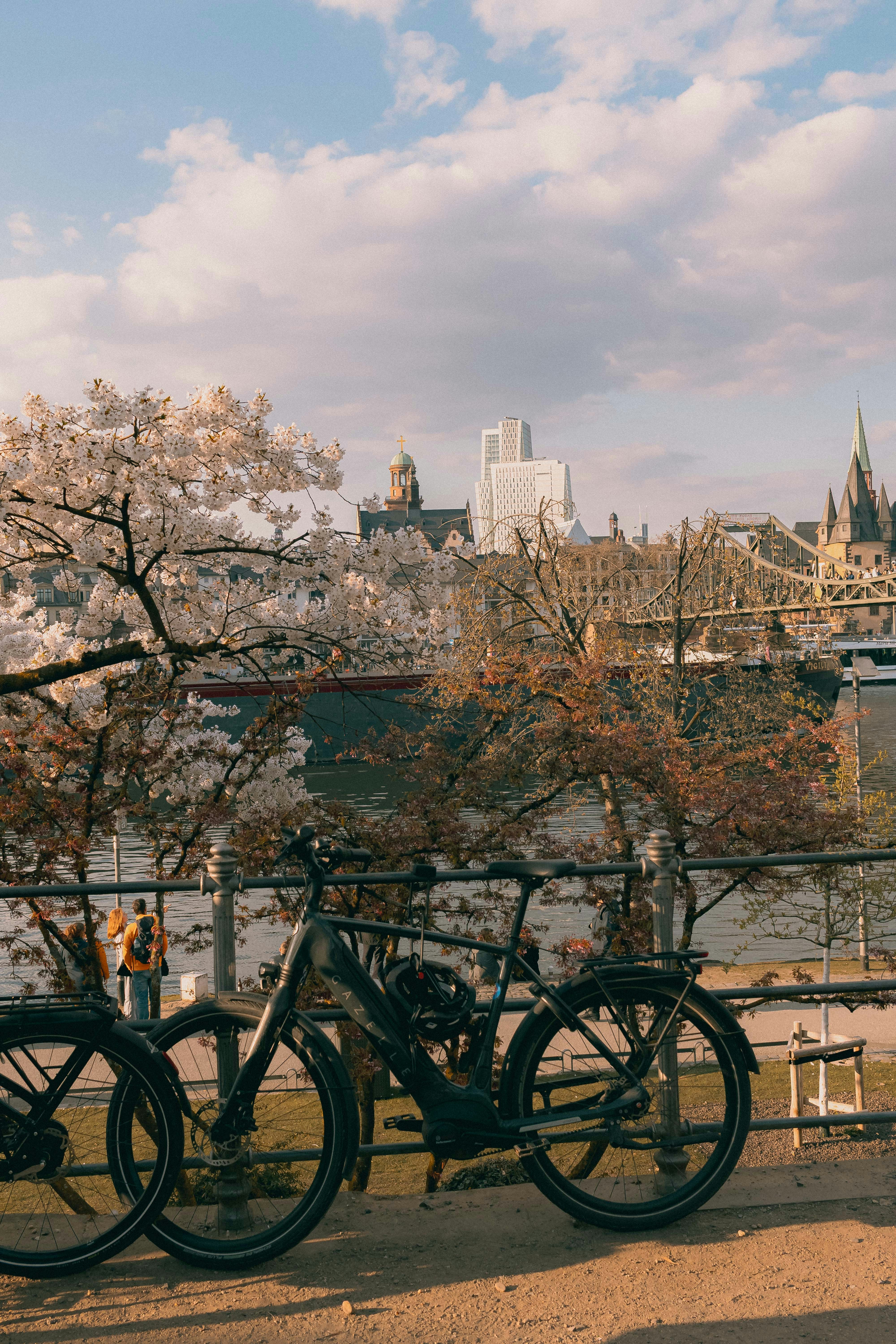 financial planning spring