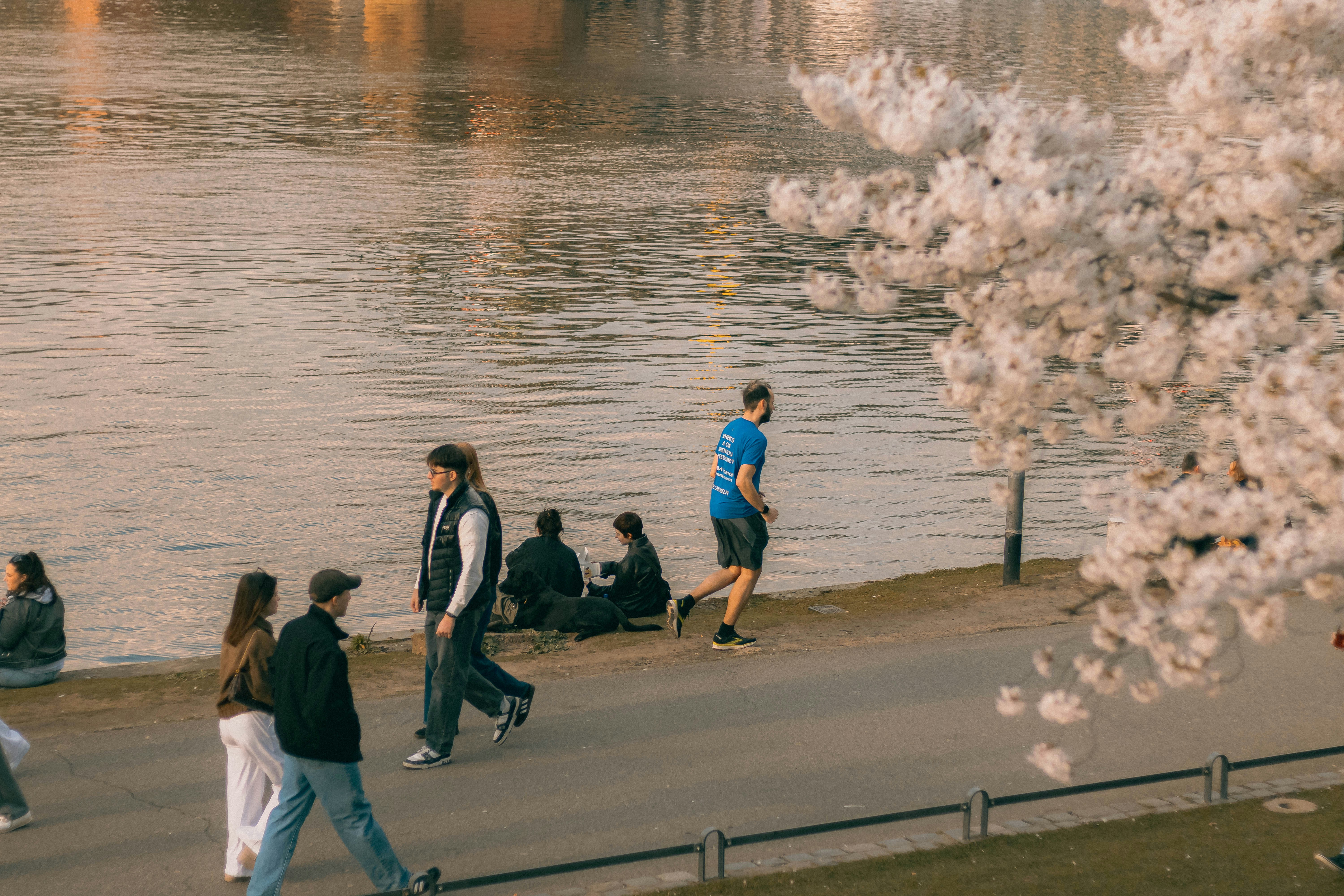 Photo by Arlind Photography on Unsplash