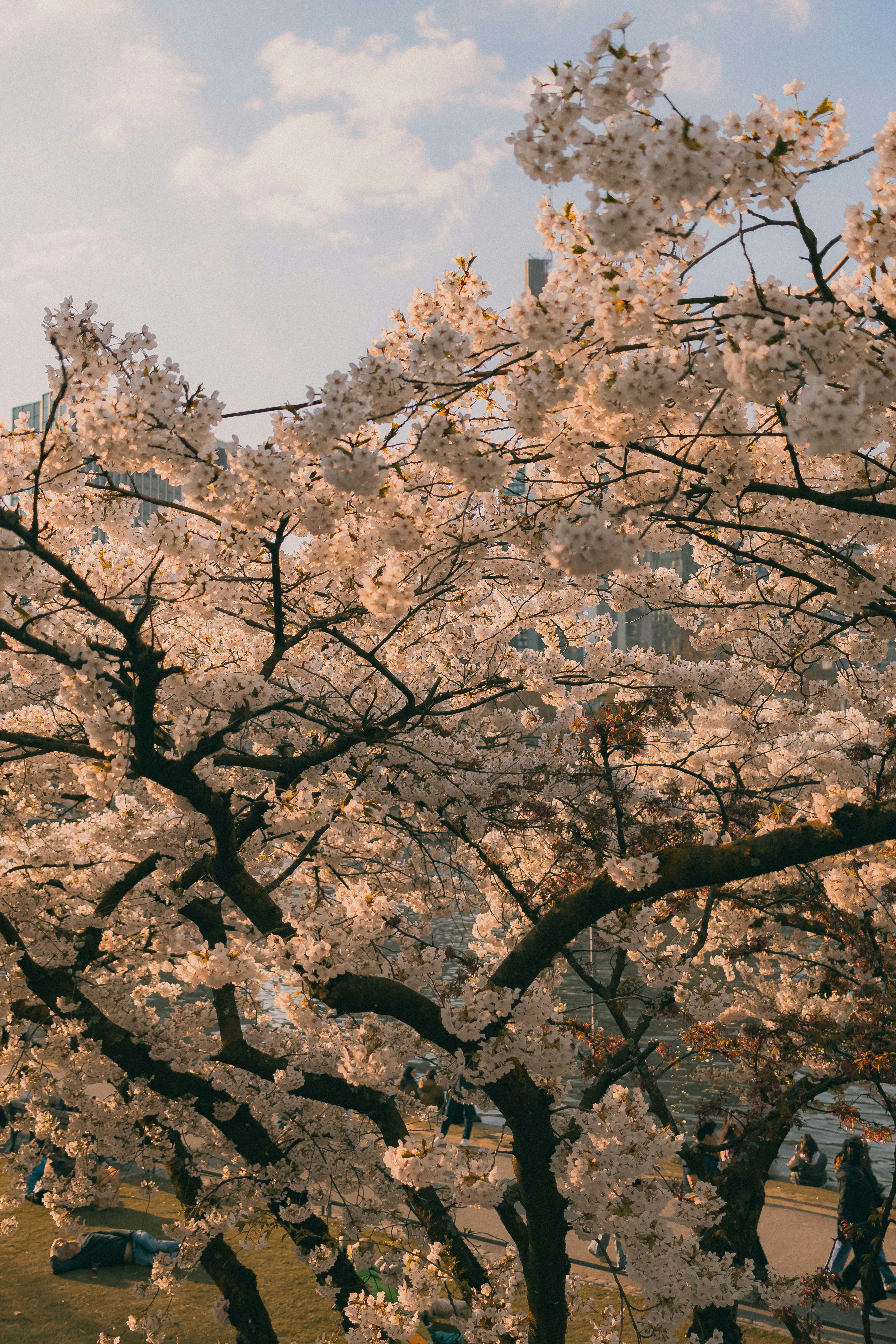 Photo by arlindphotography