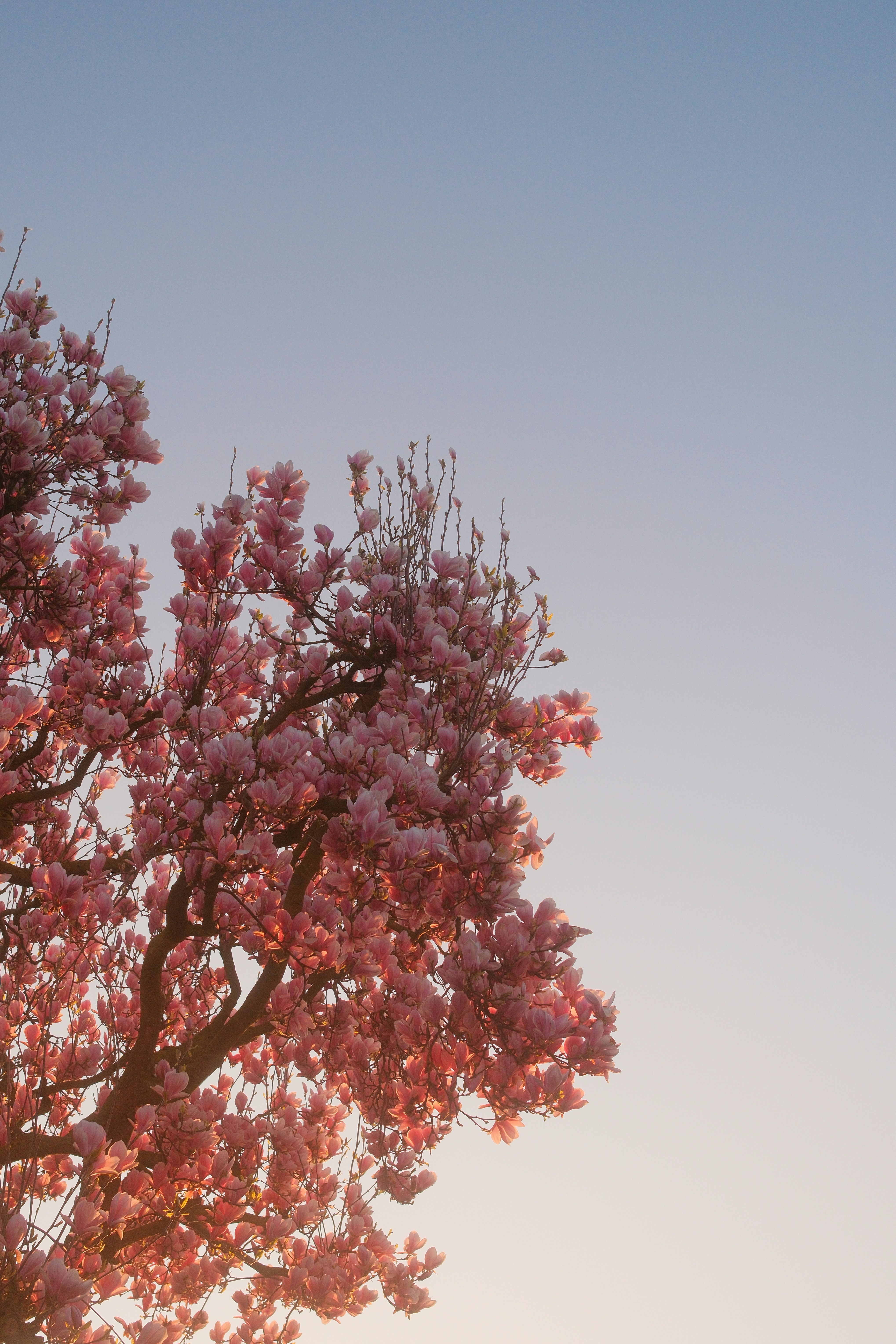 Photo by visualsbying