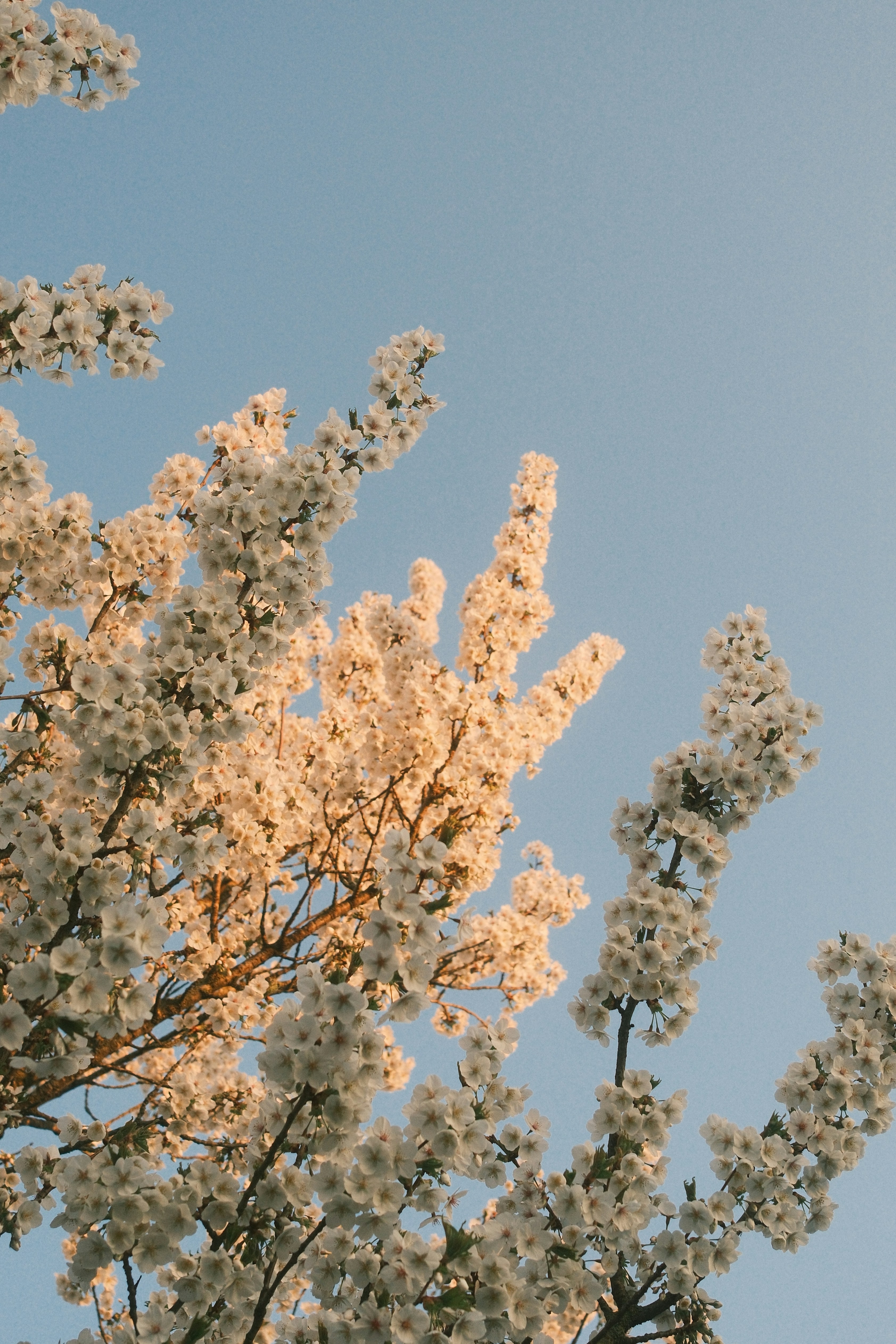 Photo by visualsbying