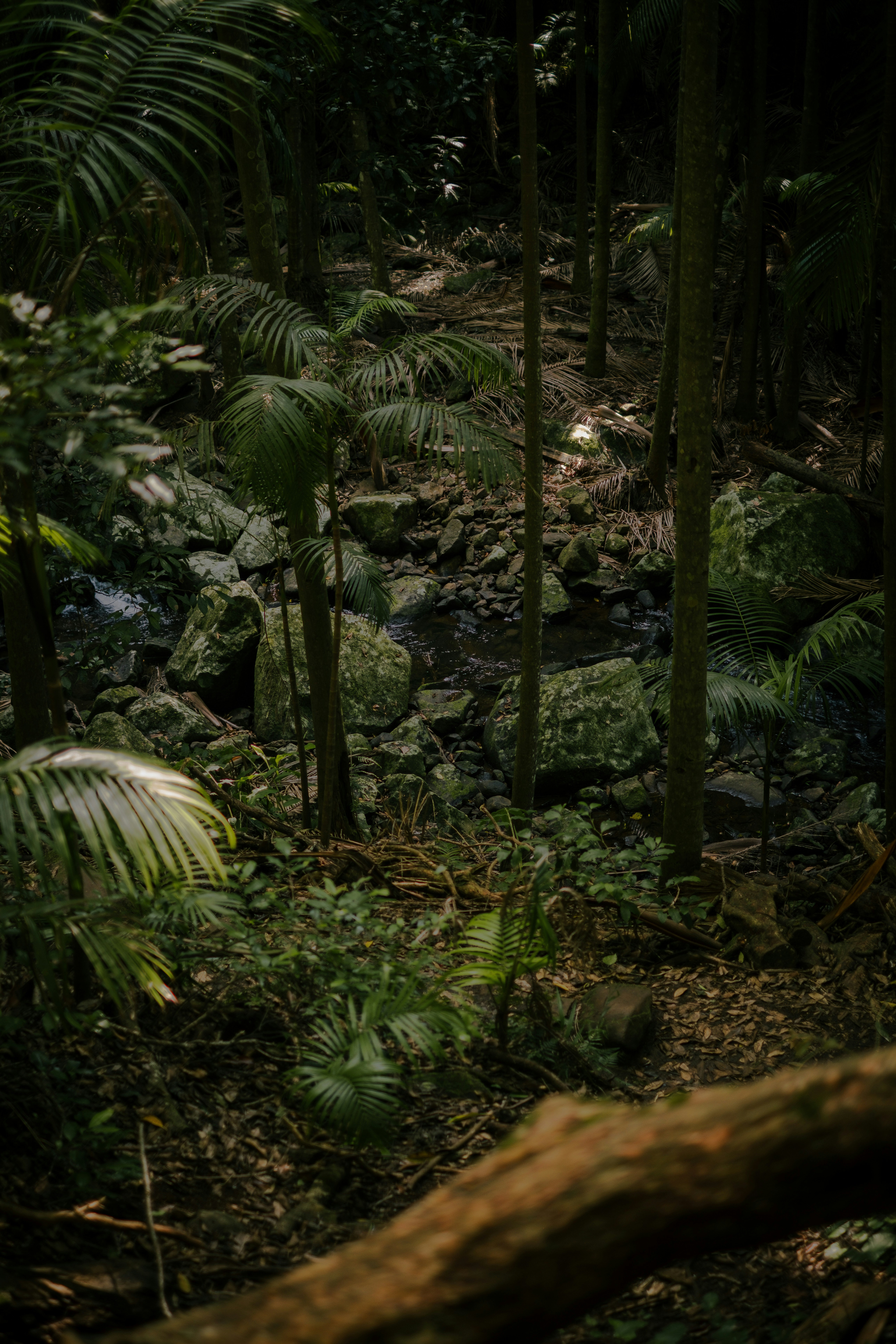 Photo by raegocreative