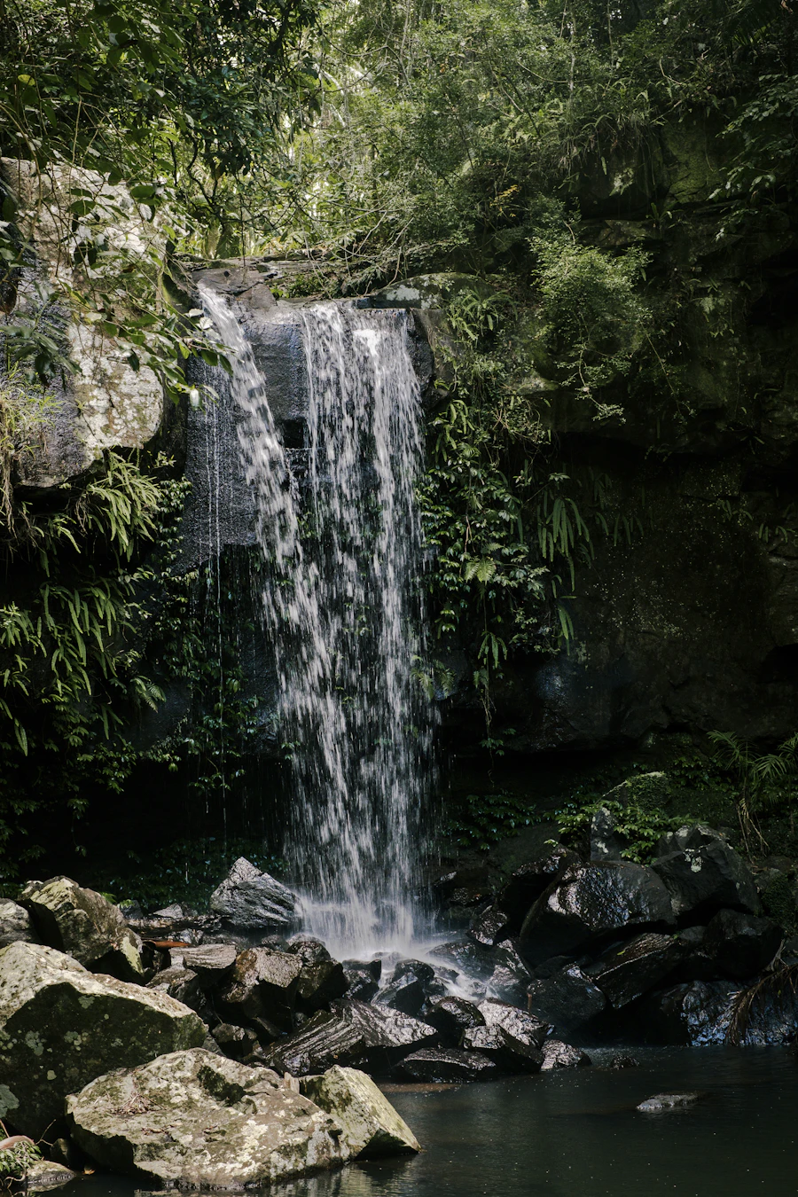 Waterfall cascading over rocks in a dense forest