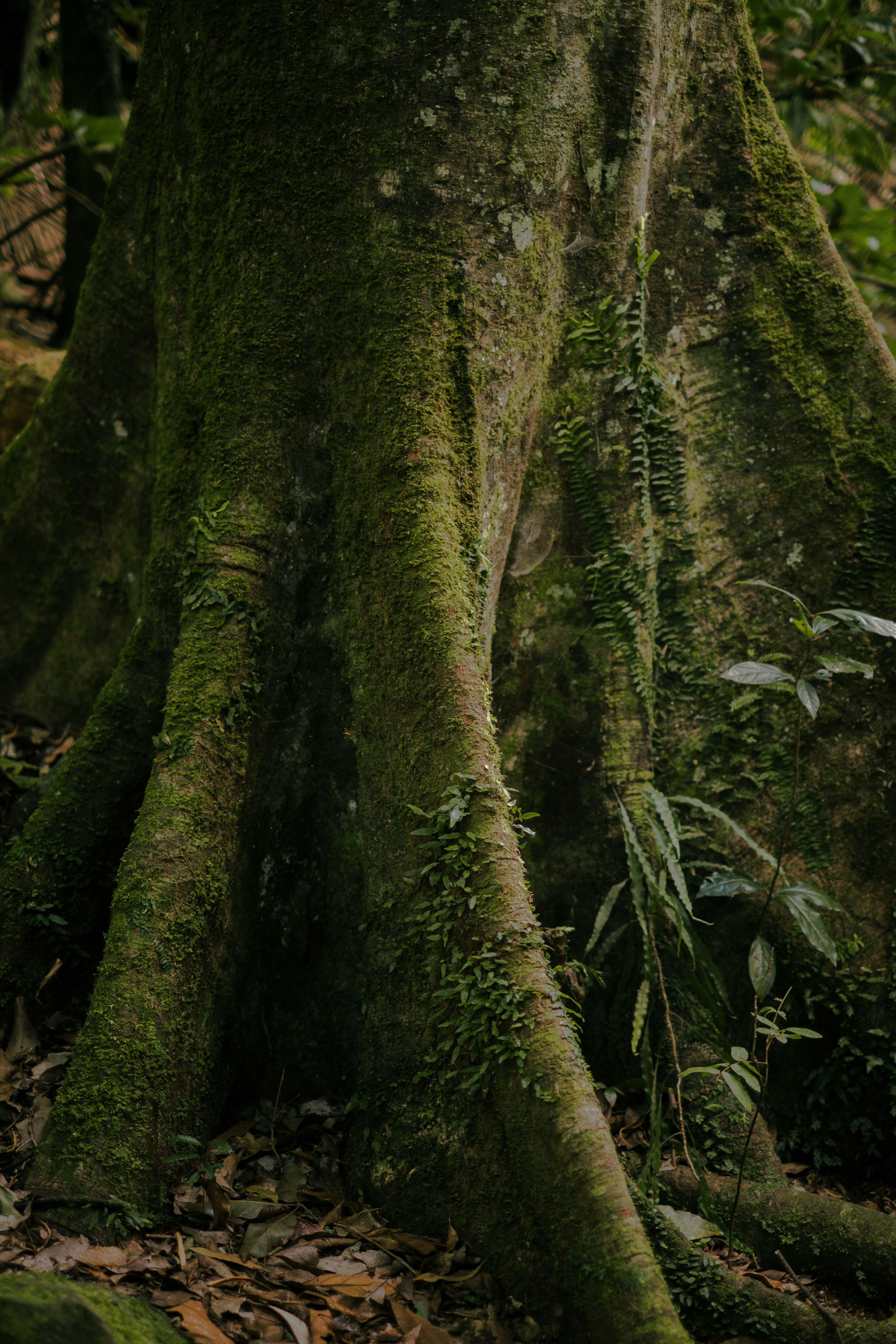 Photo by raegocreative