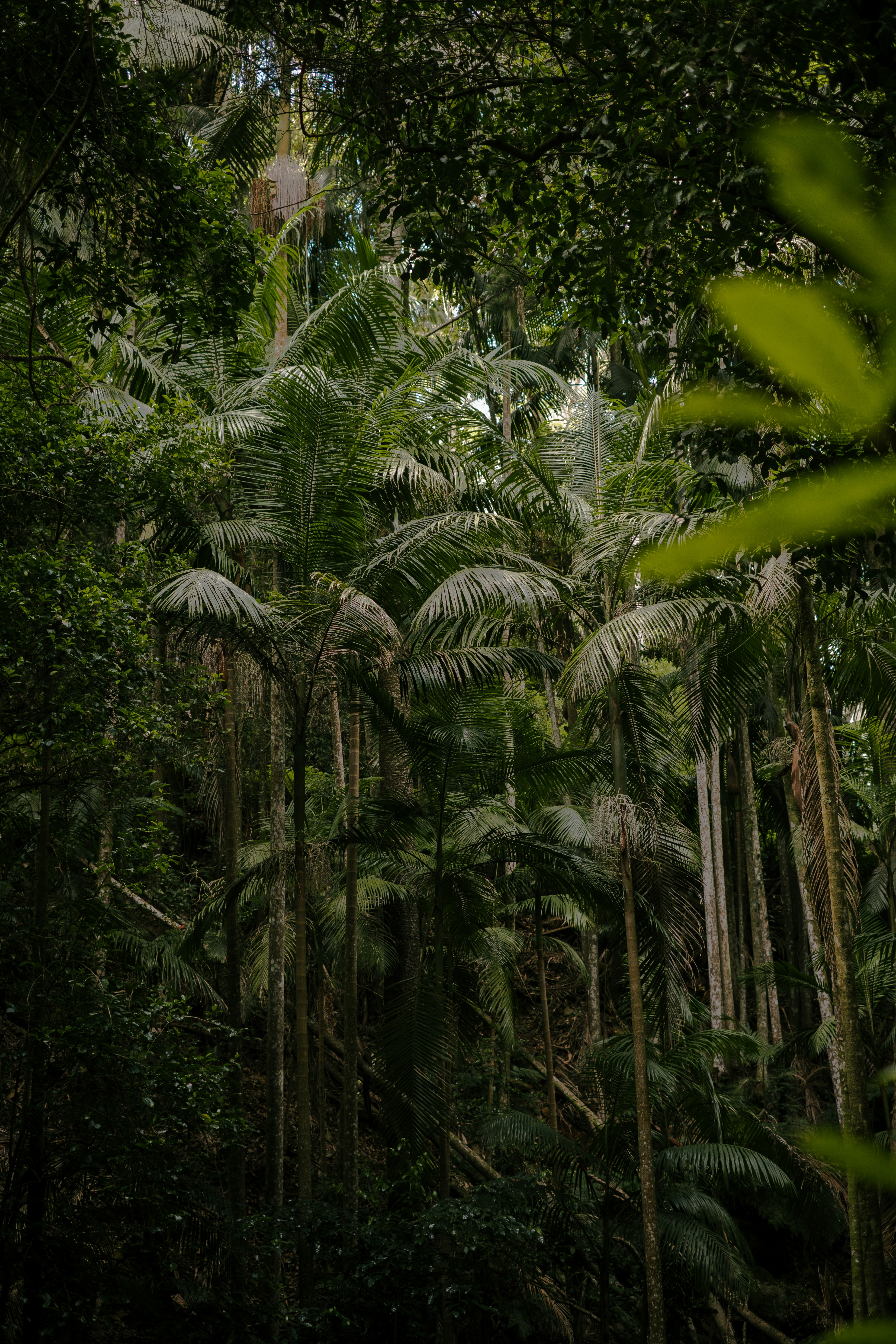 Photo by raegocreative