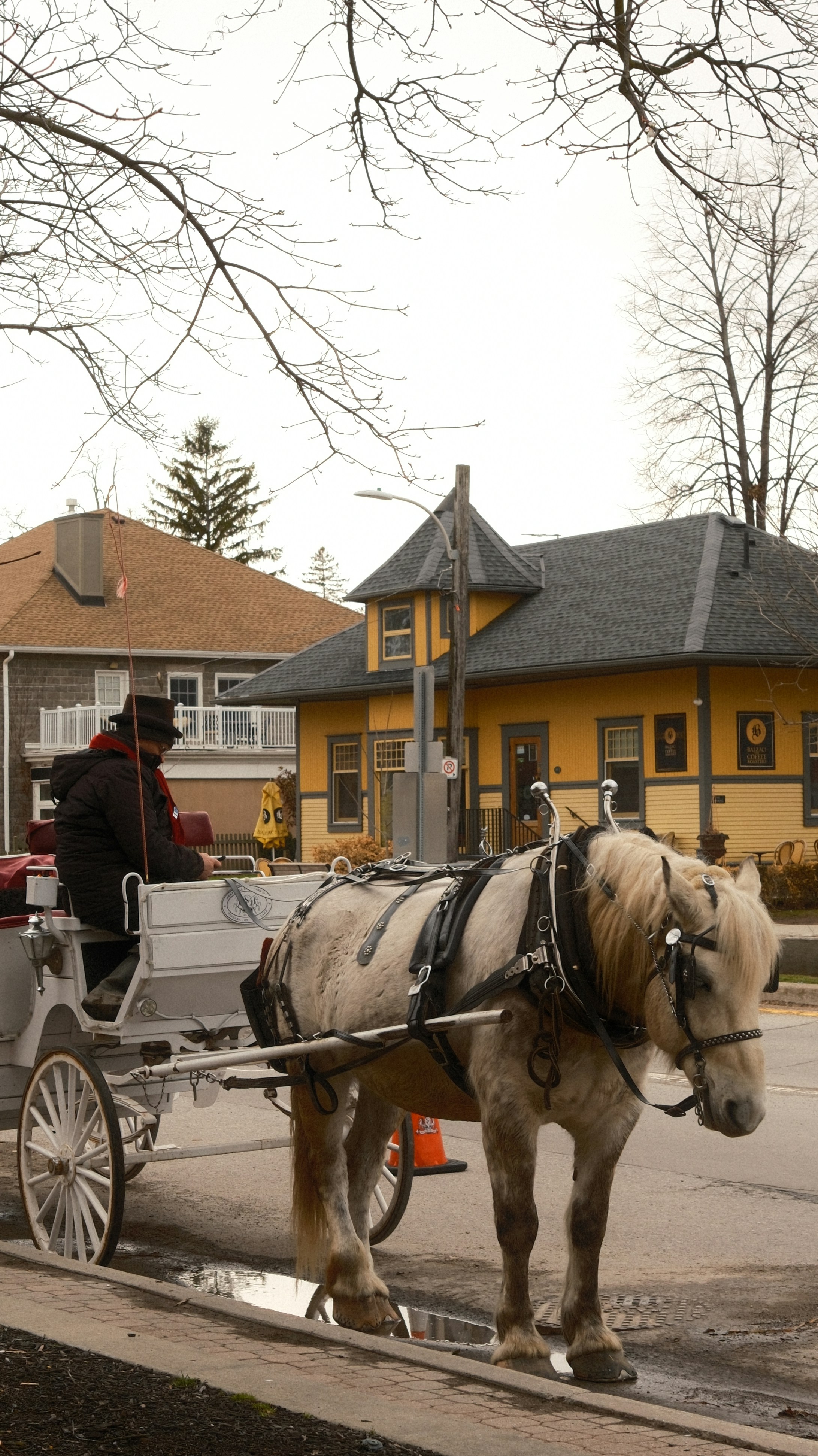 Carruaje tirado por caballos con conductor en una calle.