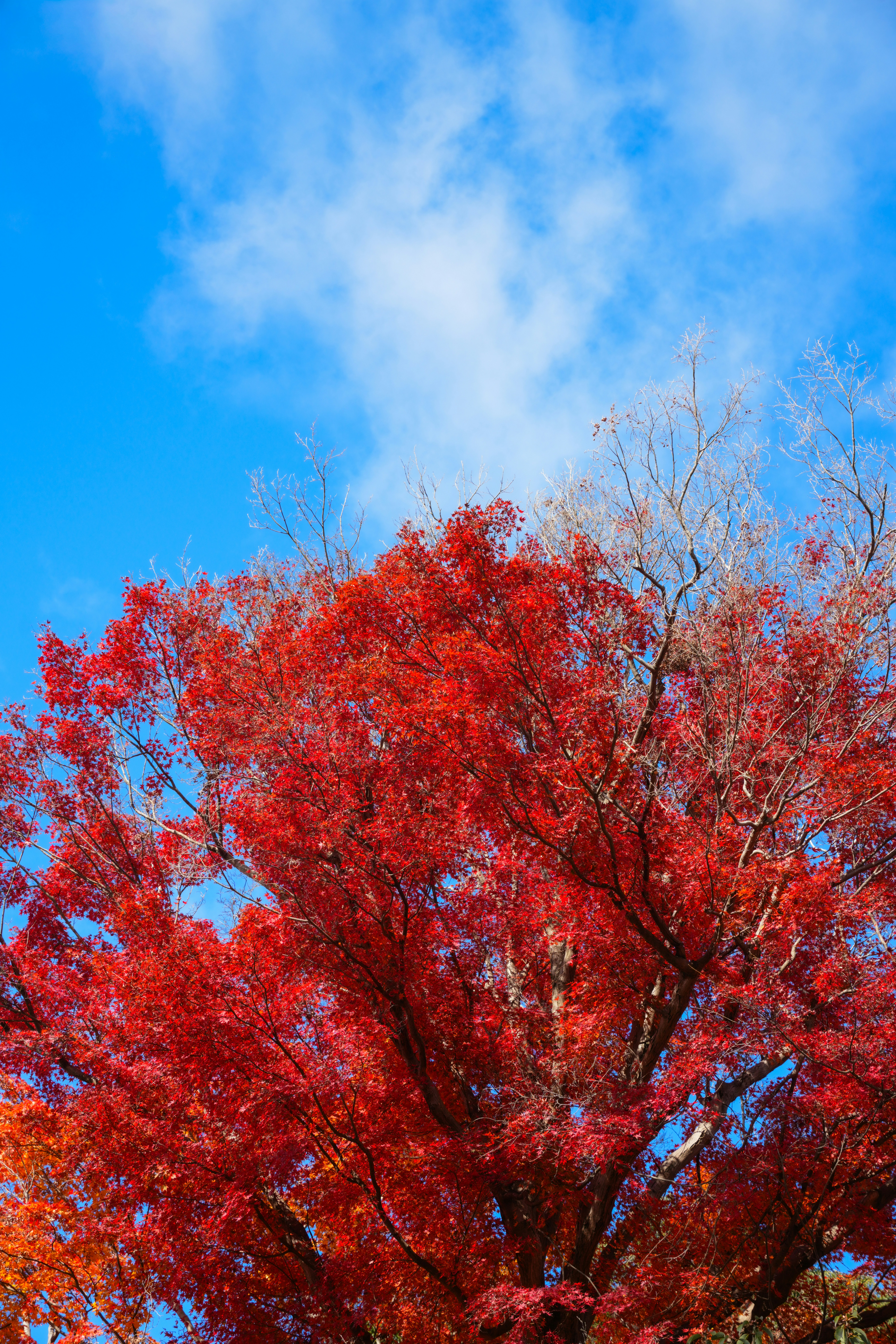 Photo by hattrick1996