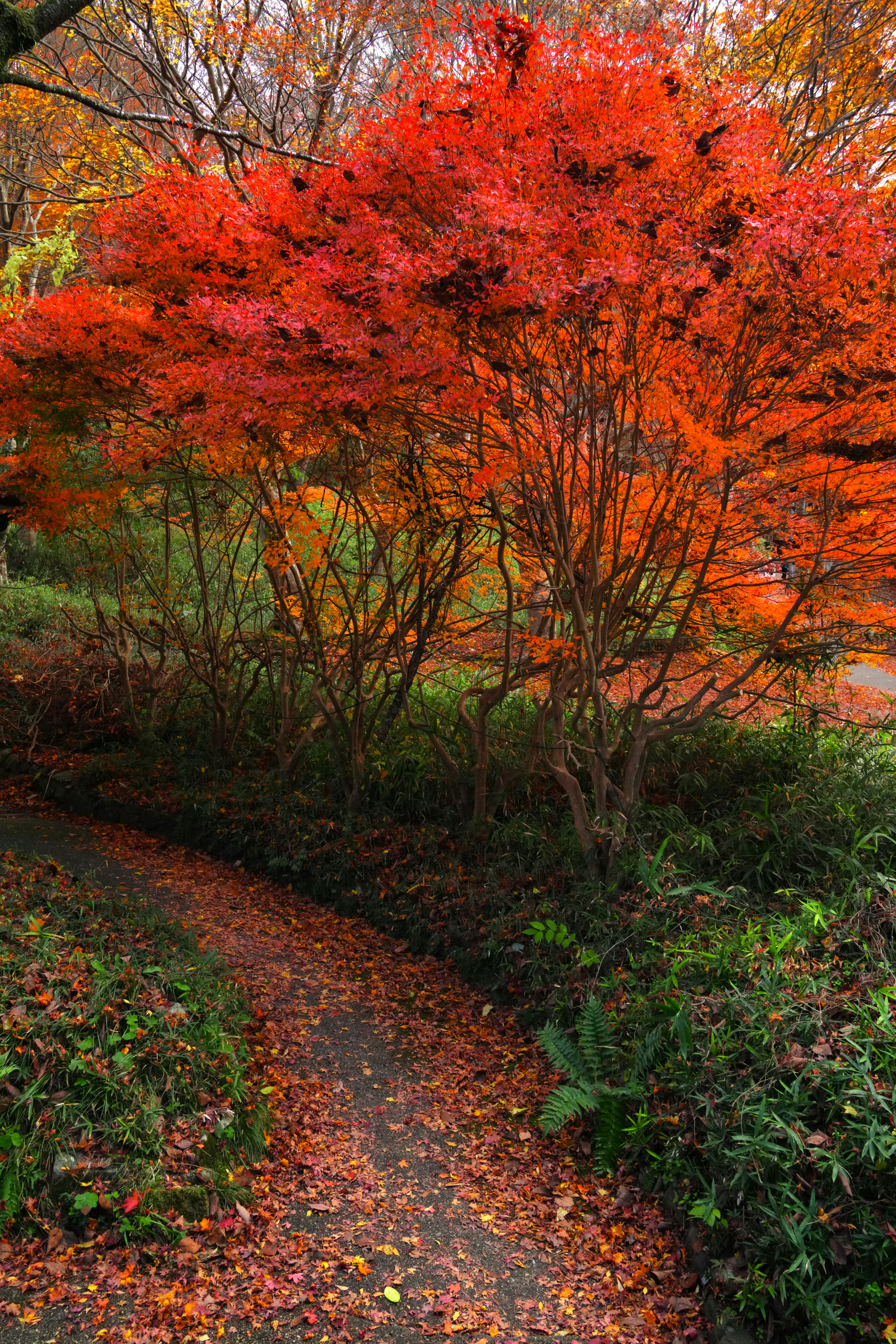 Photo by hattrick1996