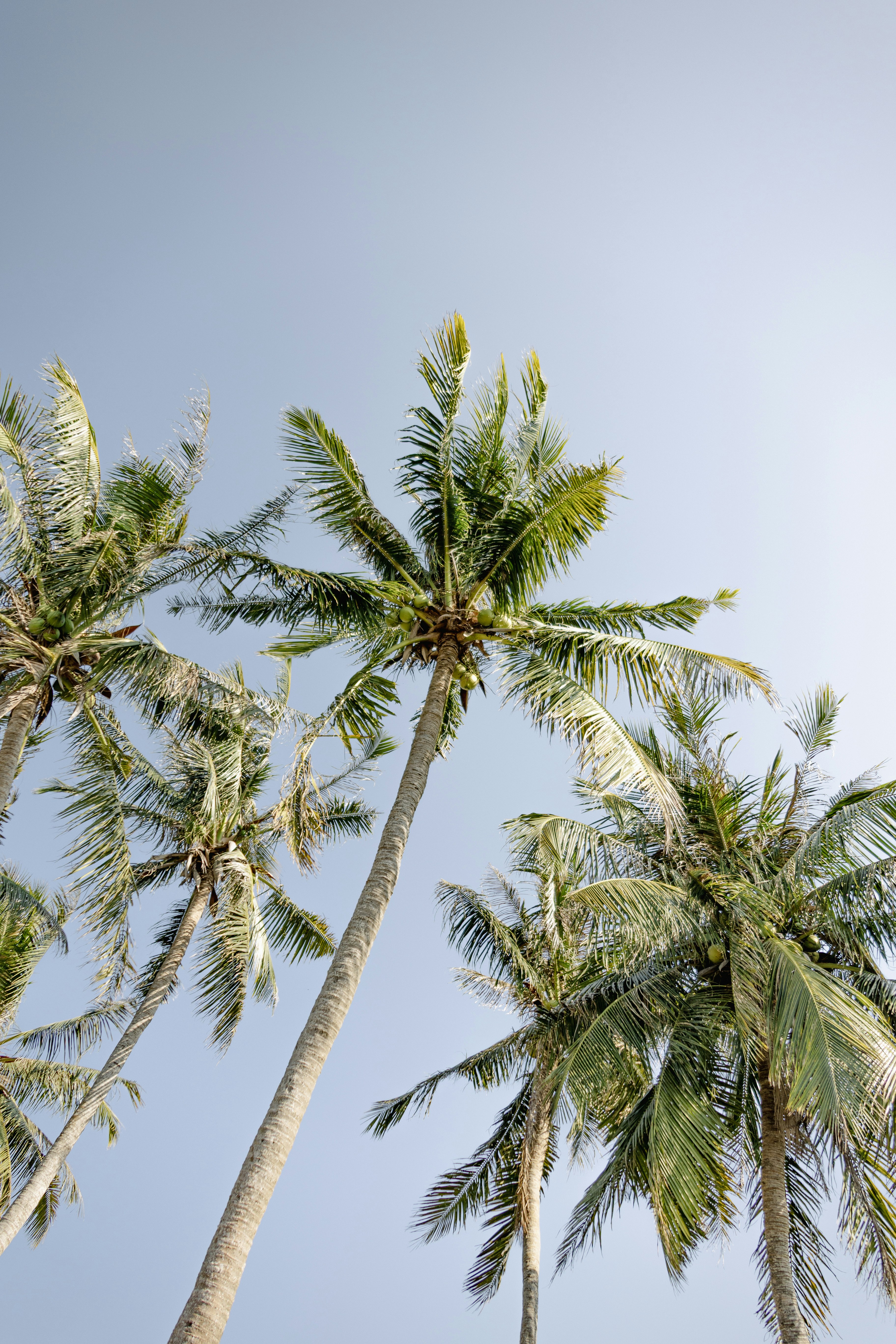 Photo by wu_hua_jiang