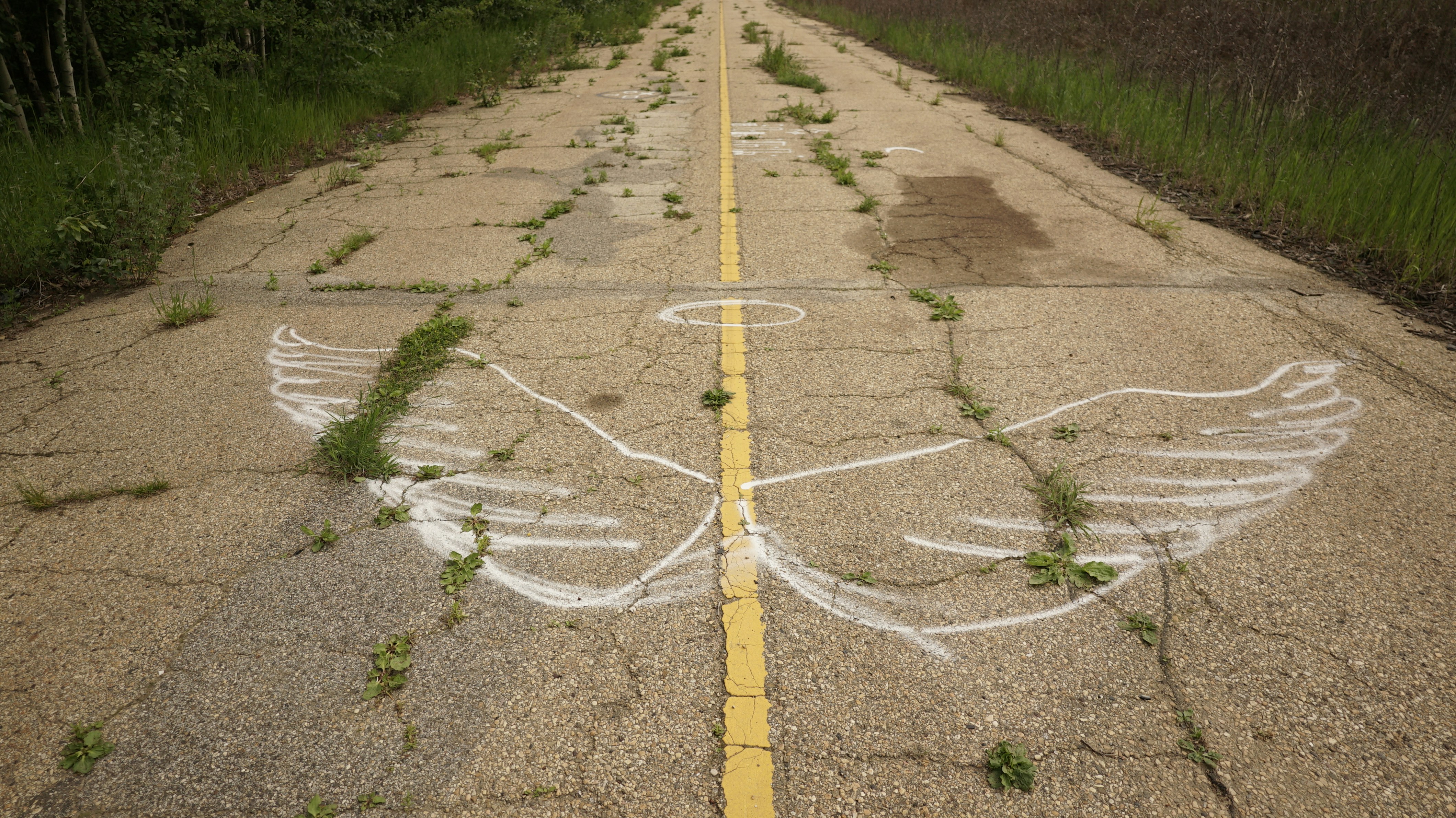Ghost Roads and Phantom Cars: The TDU Content That Almost Existed