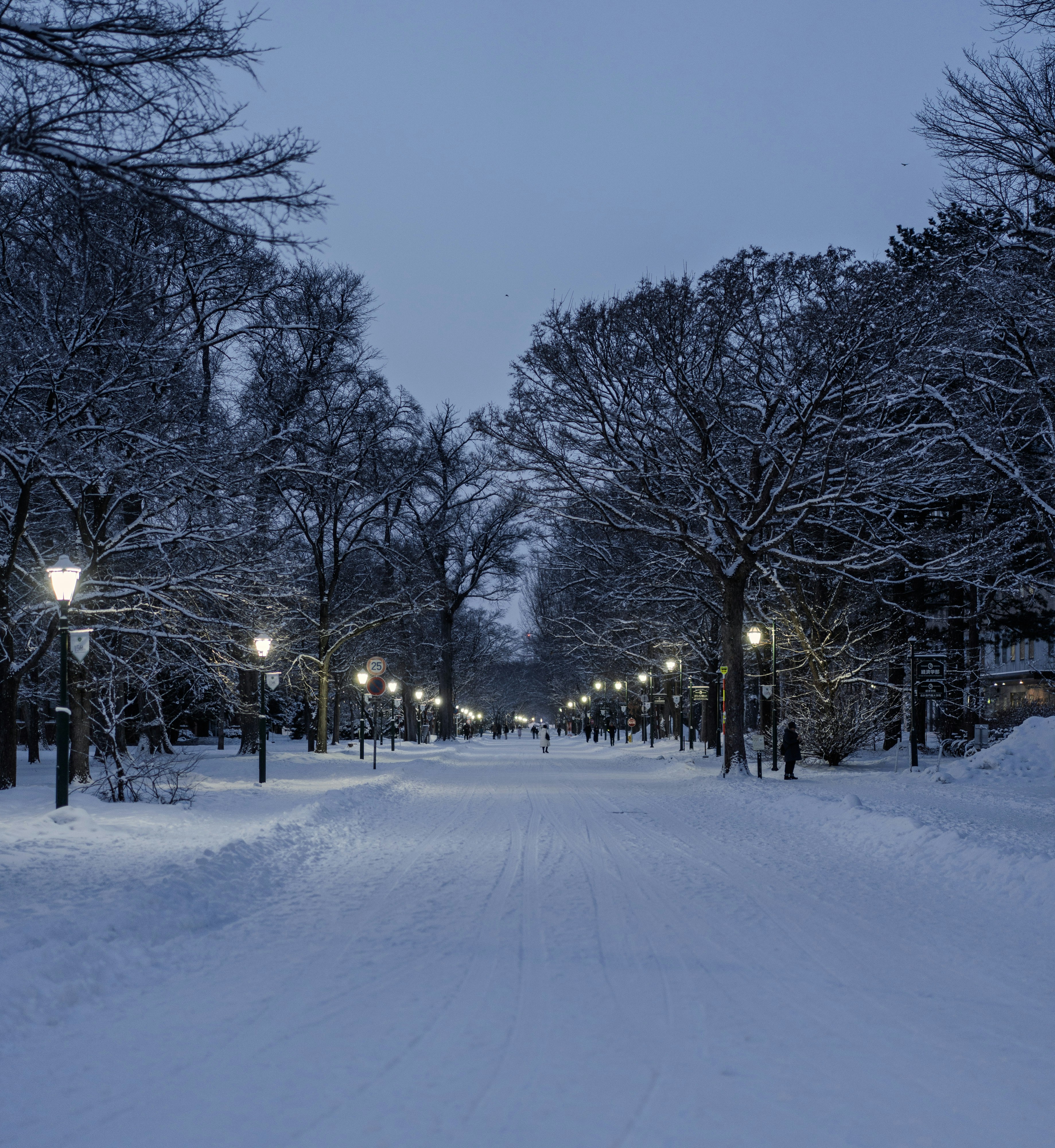 Photo by juniperphoton