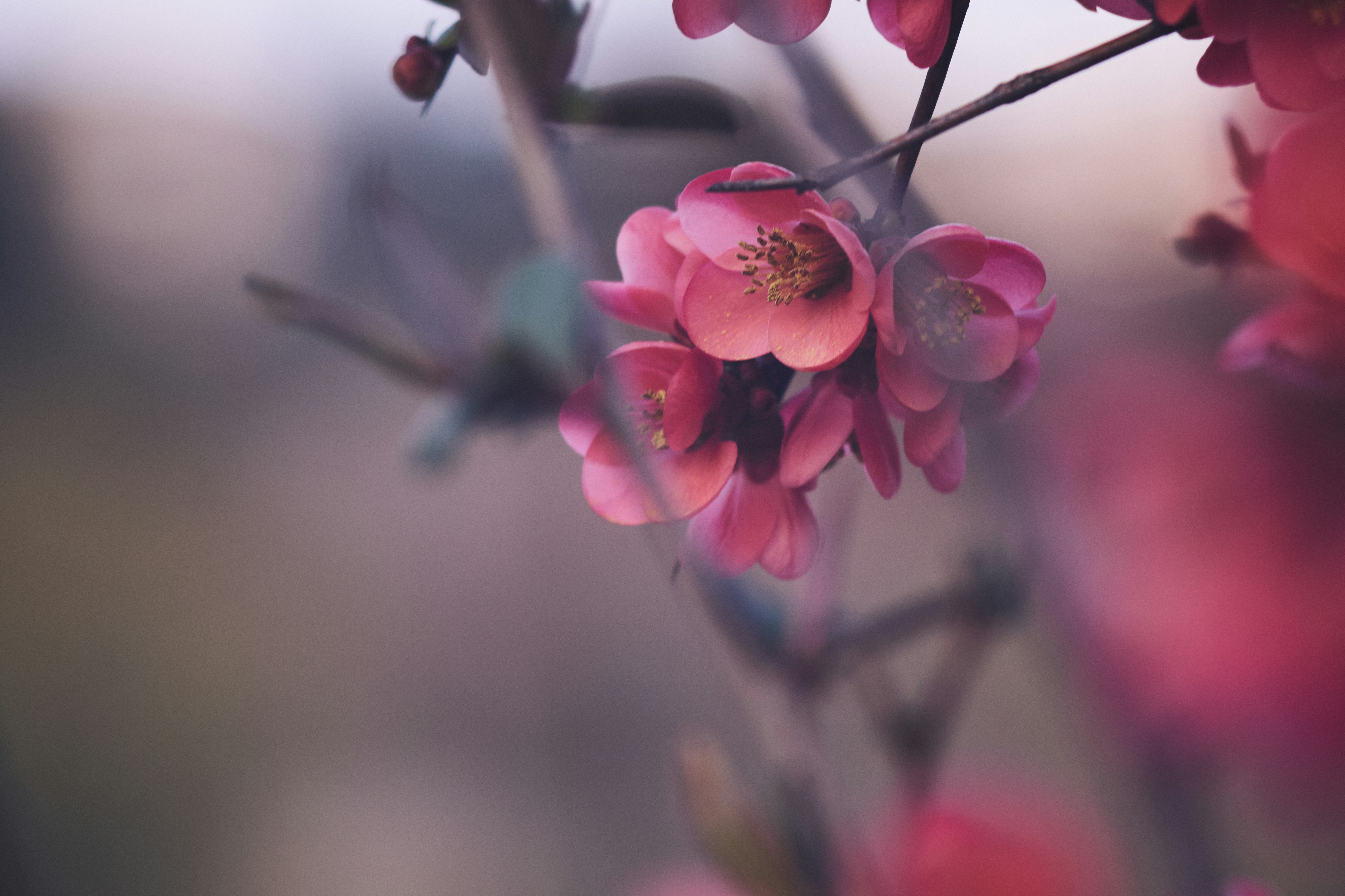 Photo by mikhailrepin