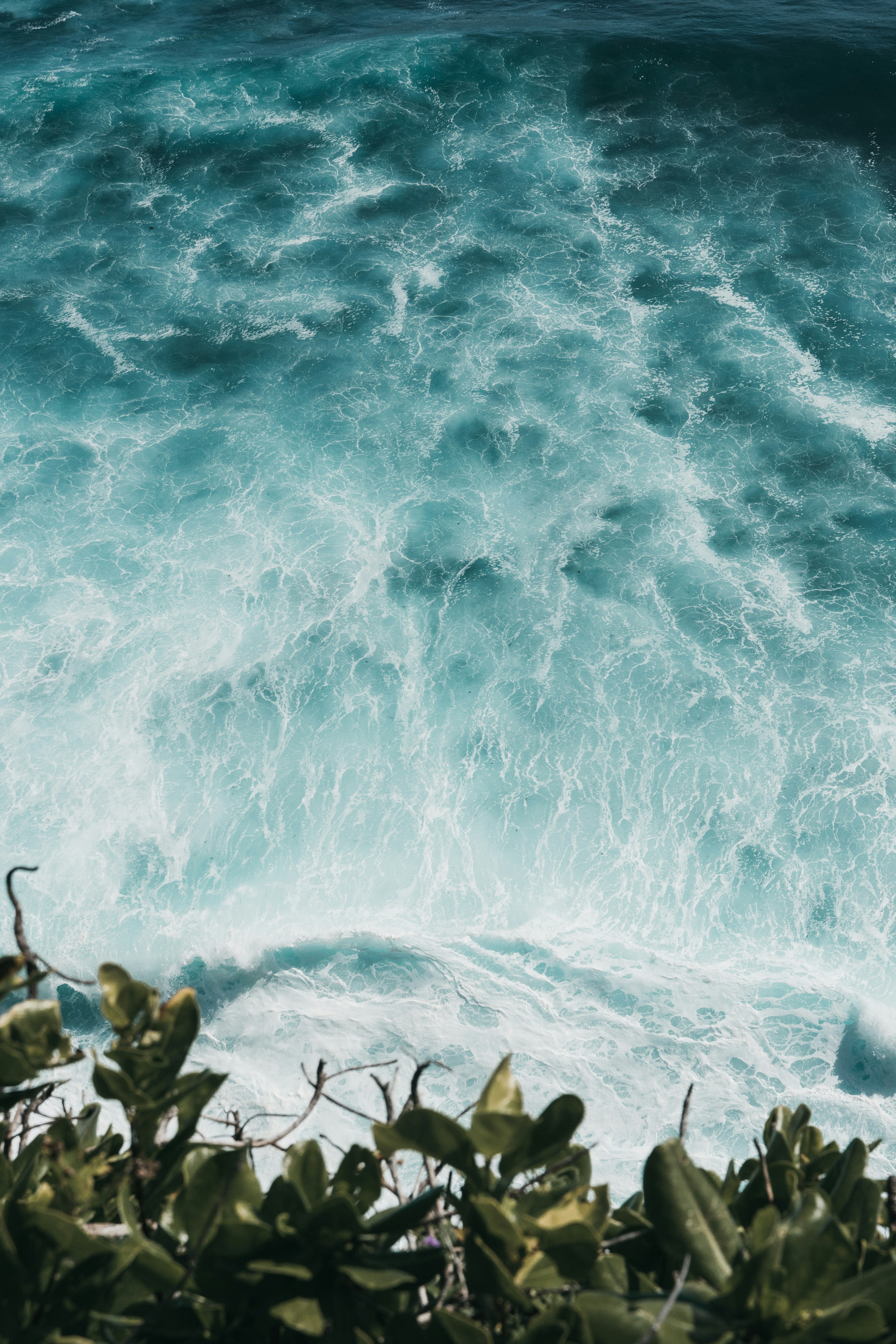 Photo by p_kuzovkova