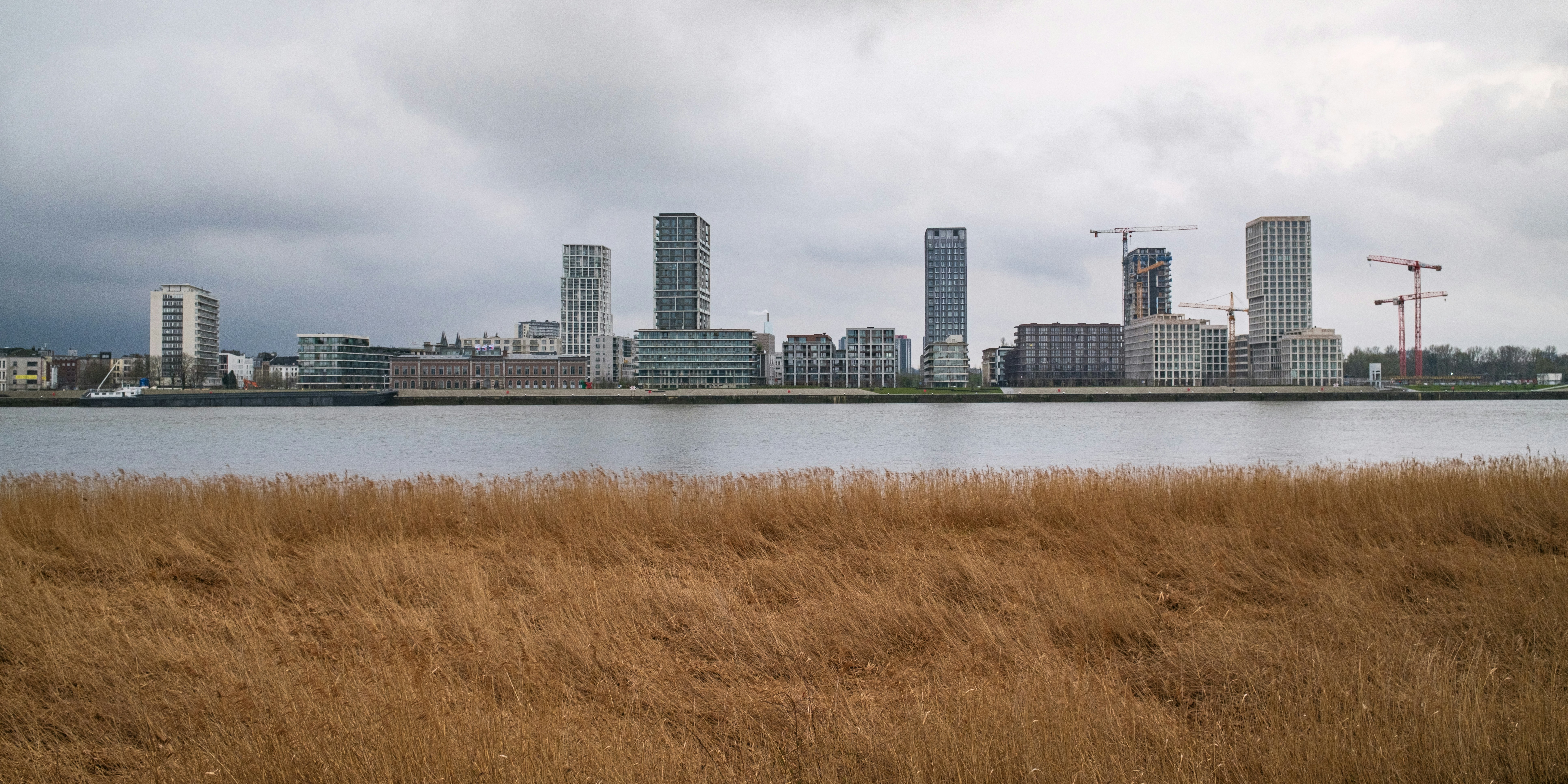 Paisaje urbano moderno con edificios altos al otro lado de un río.