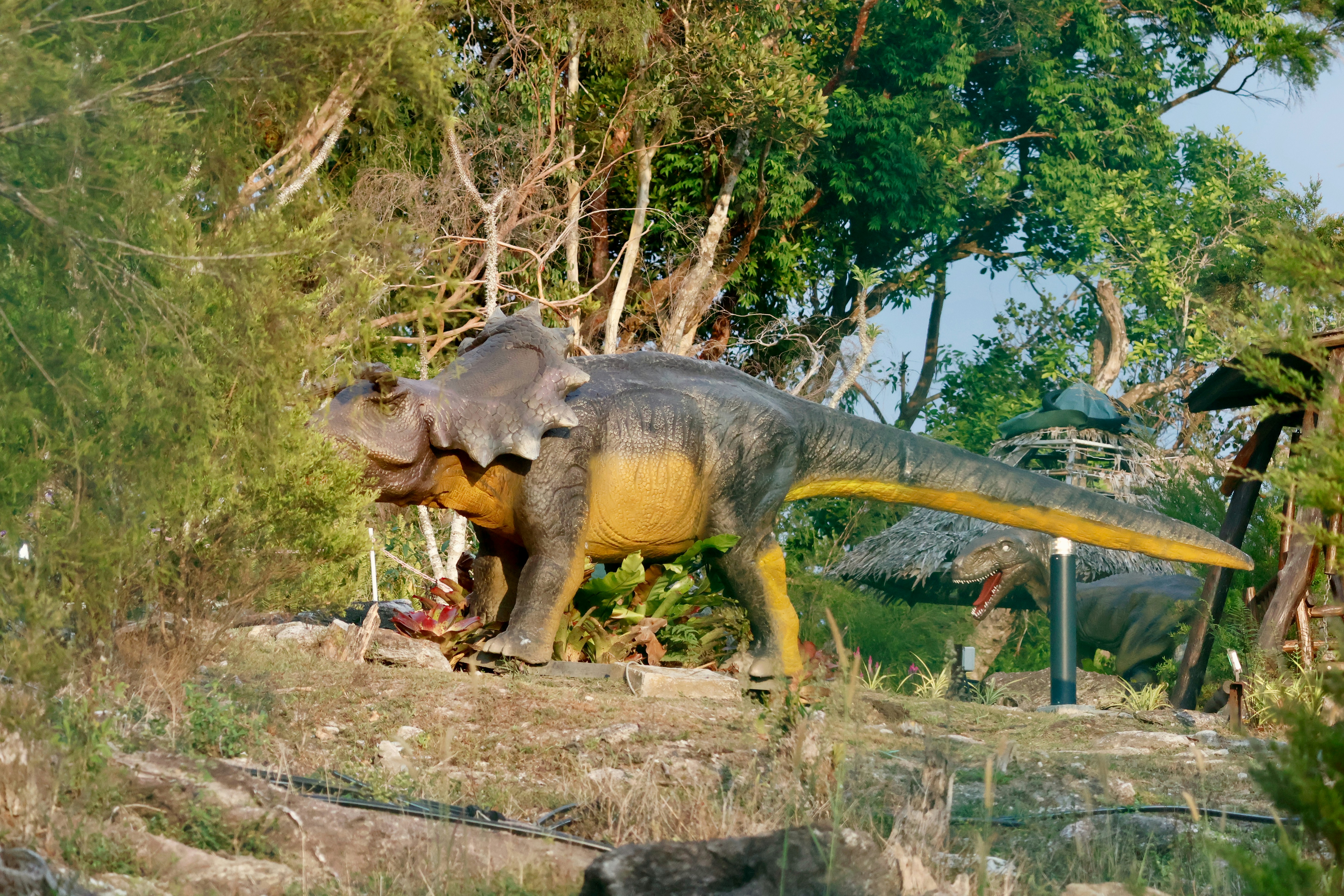 family fun dinosaurs