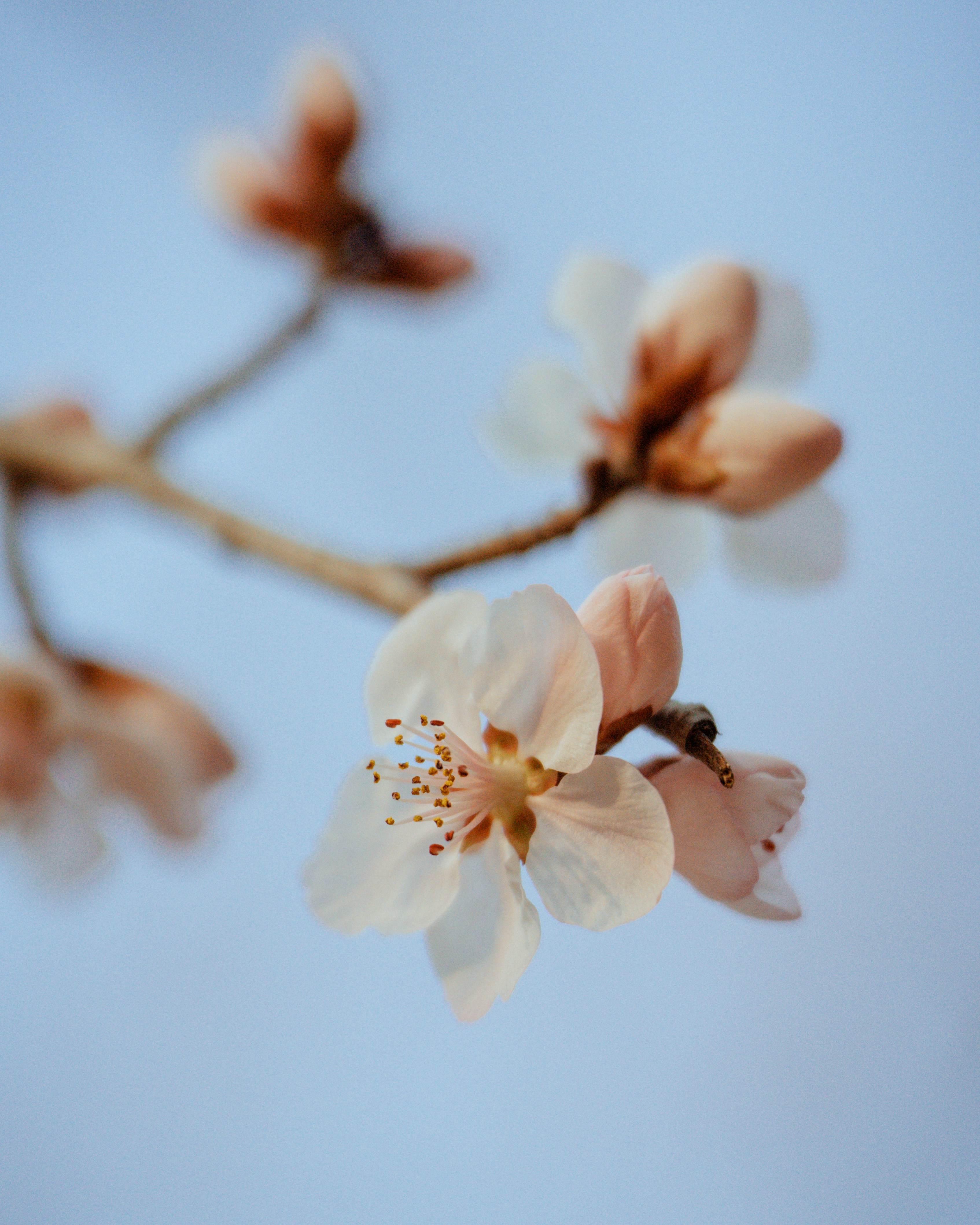 Photo by nihthu