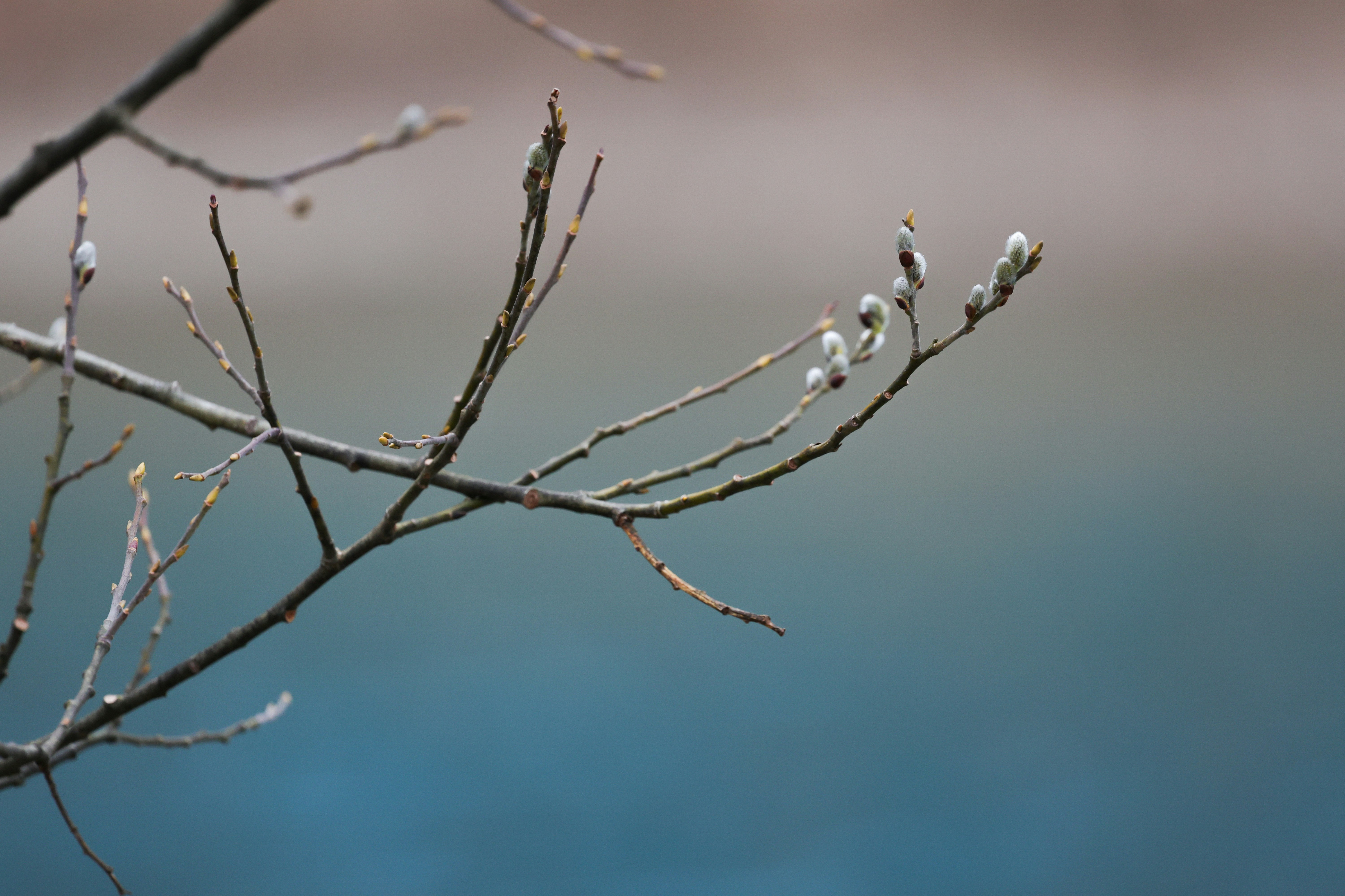 Photo by valomukitse