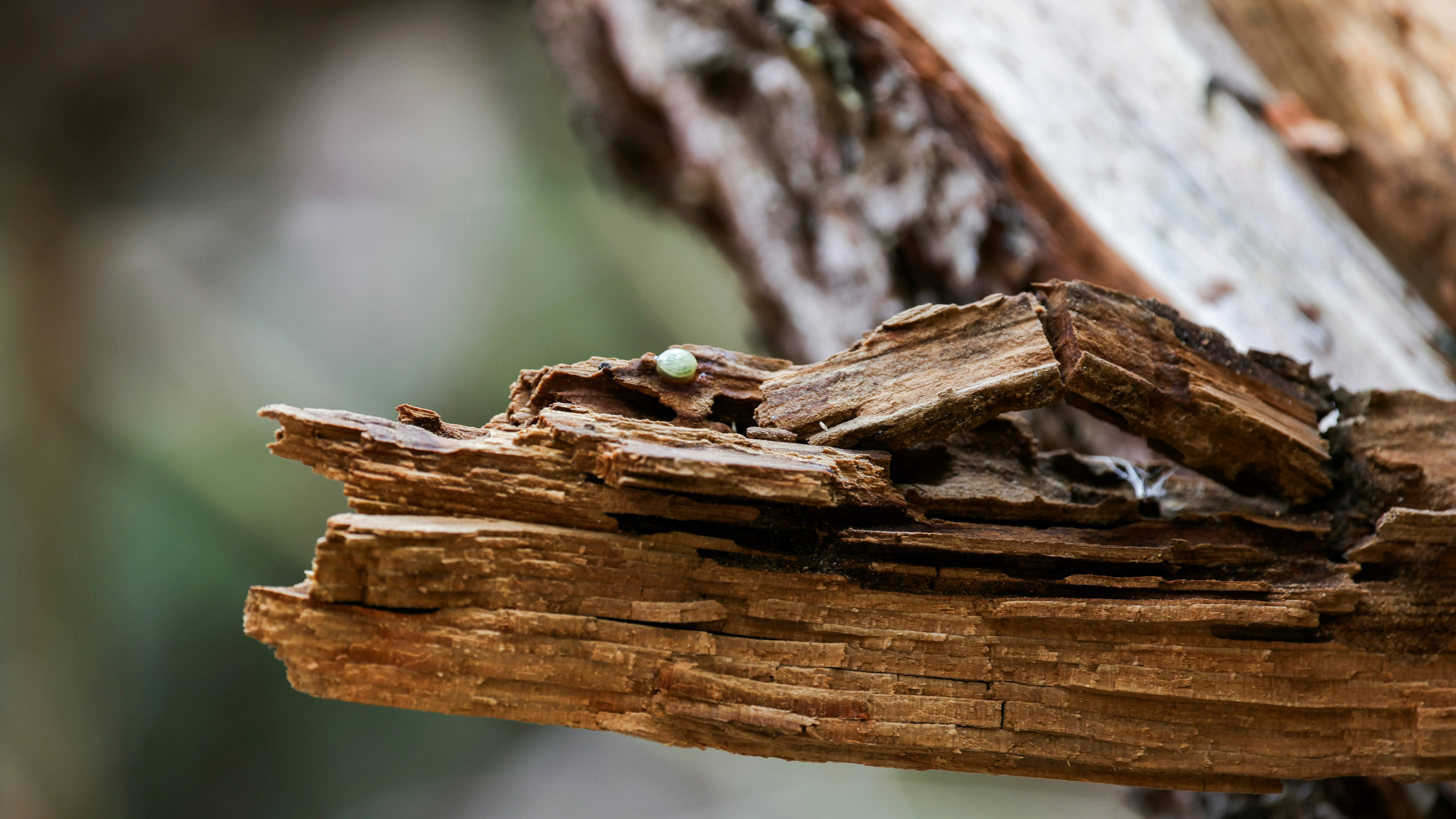 Photo by valomukitse