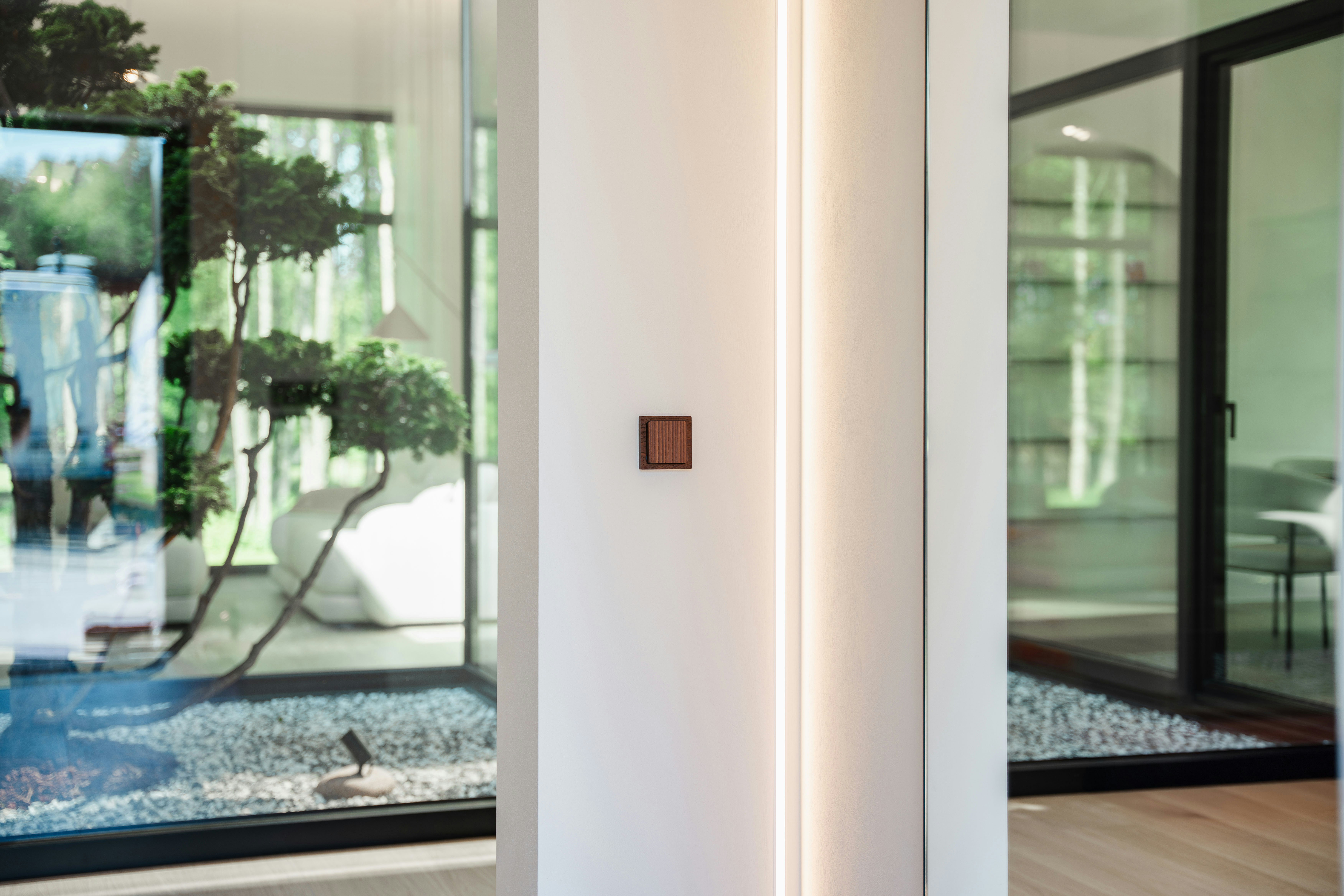 Modern interior with a small bonsai tree and large windows