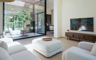 Modern living room with courtyard view and television