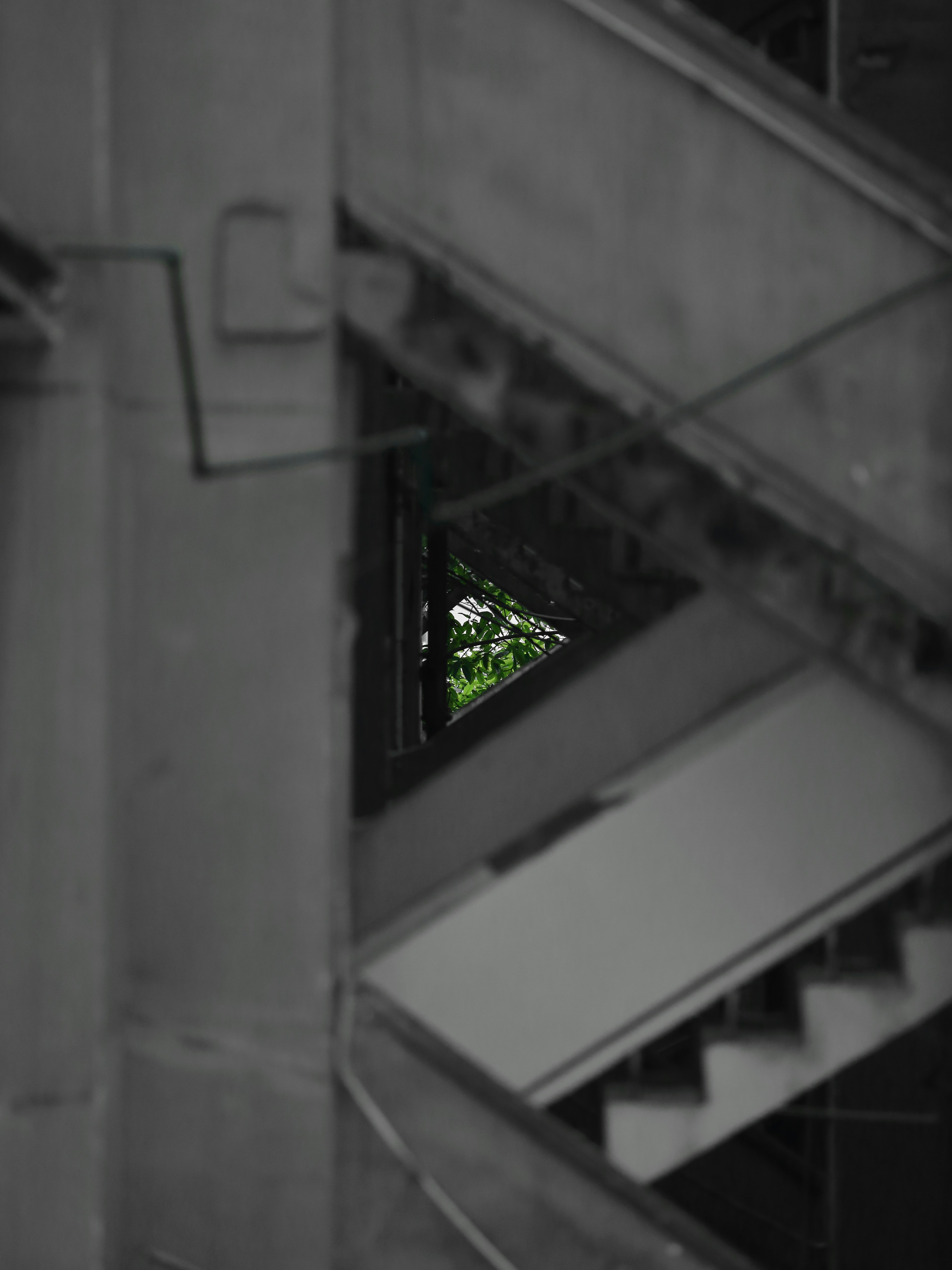 Árvores verdes vistas através da estrutura industrial de escadas
