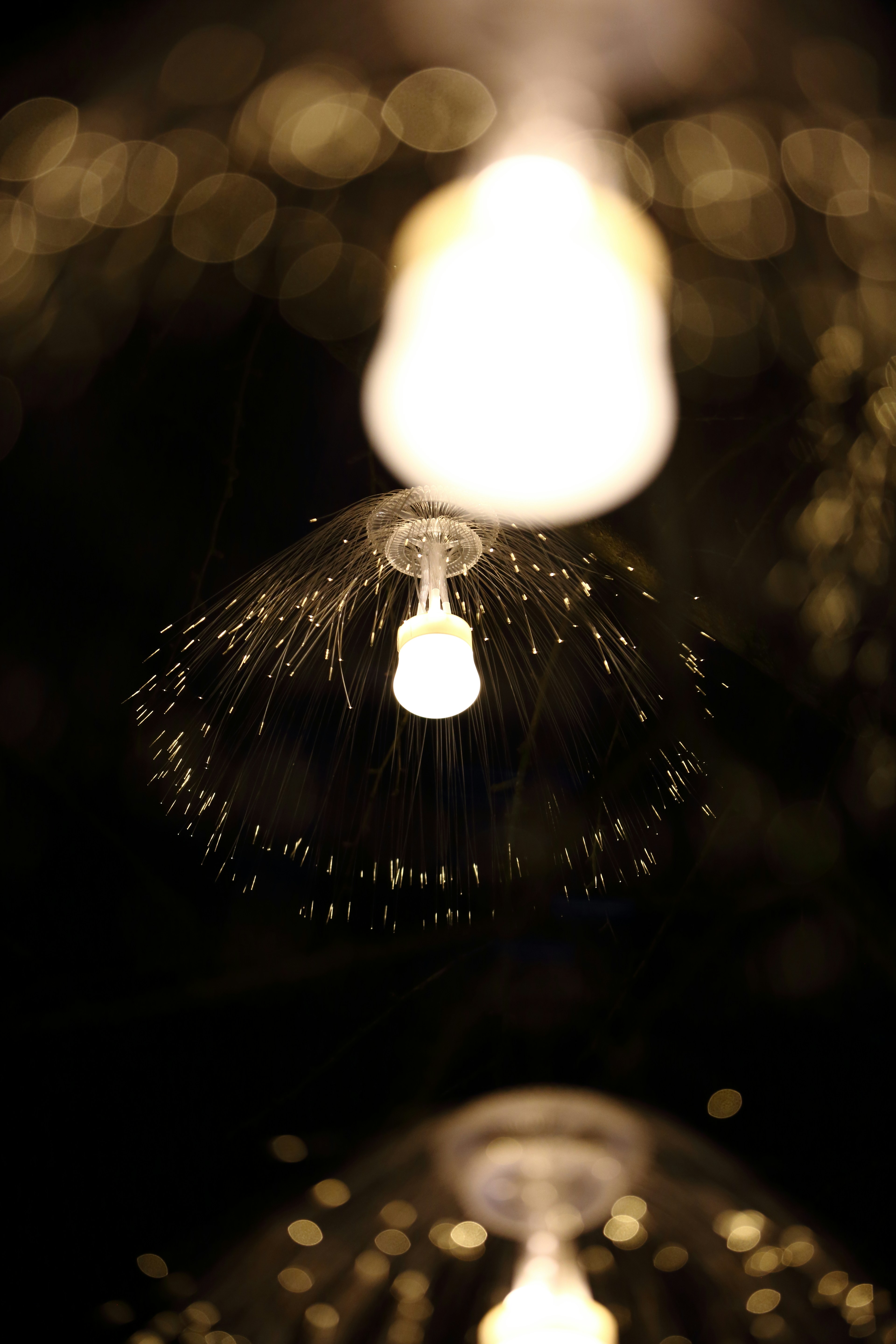 Photo by j4son_bourn3