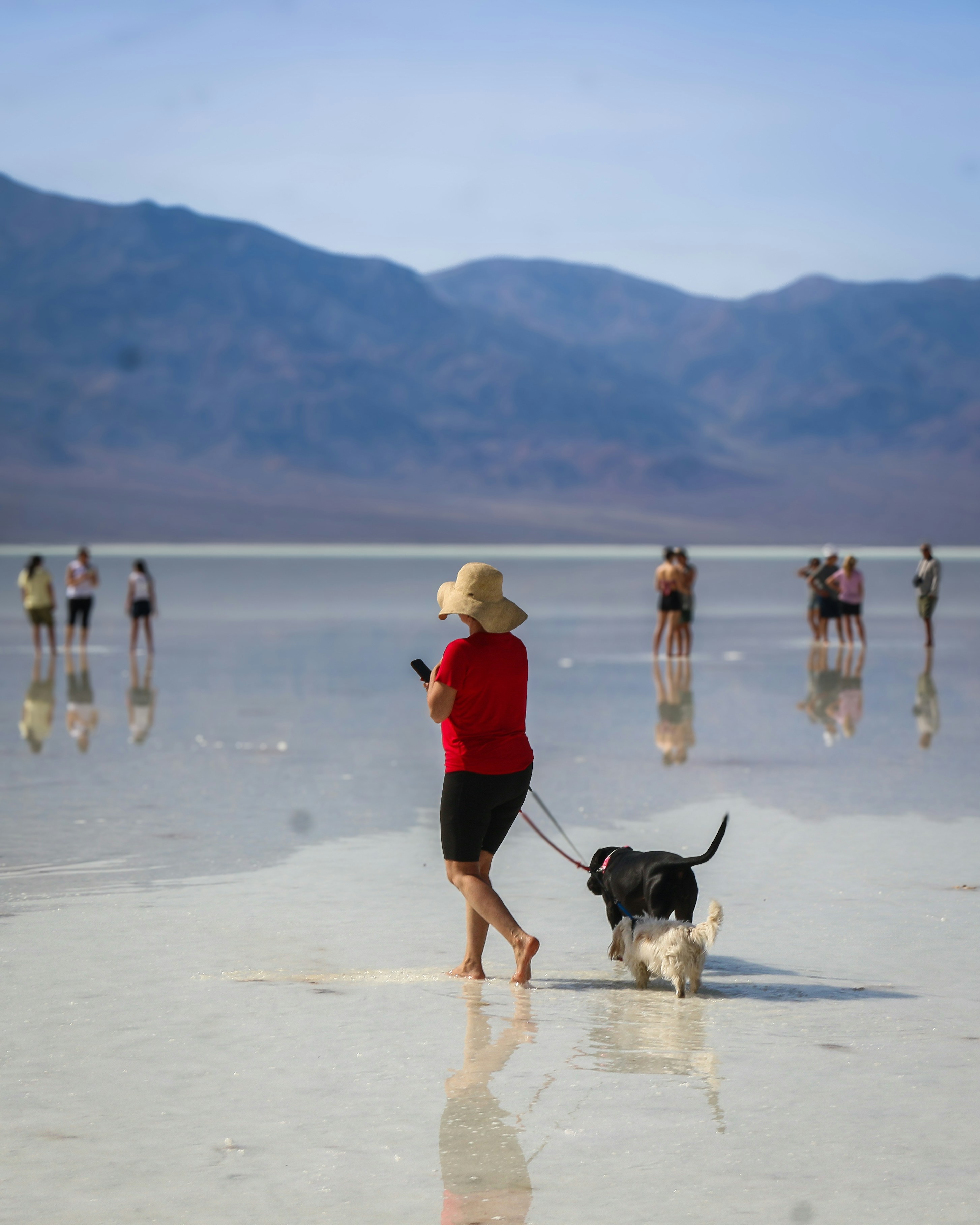 Woman walks dog on a reflective salt flat with mountains.