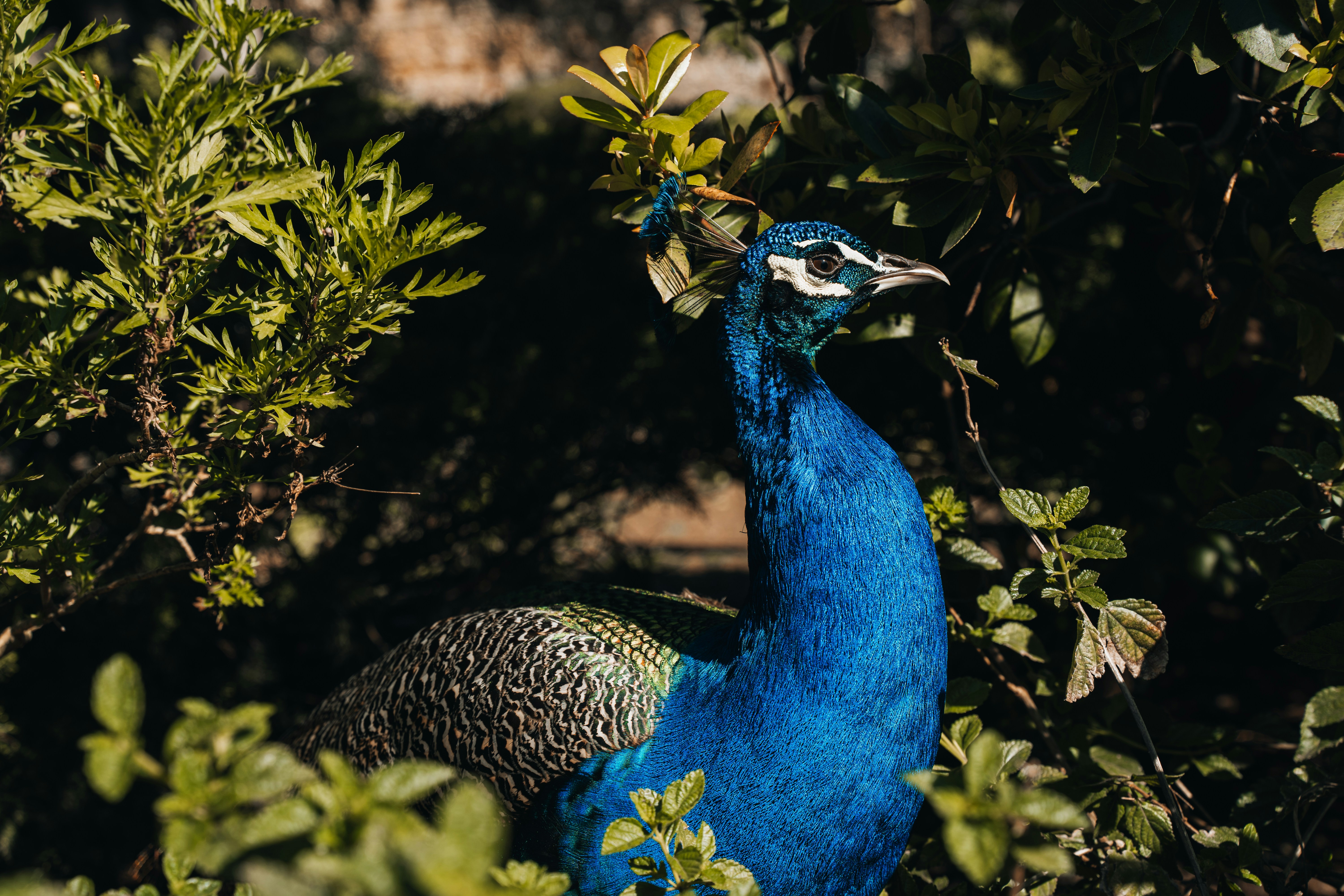 Photo by benjamin_photo_lab