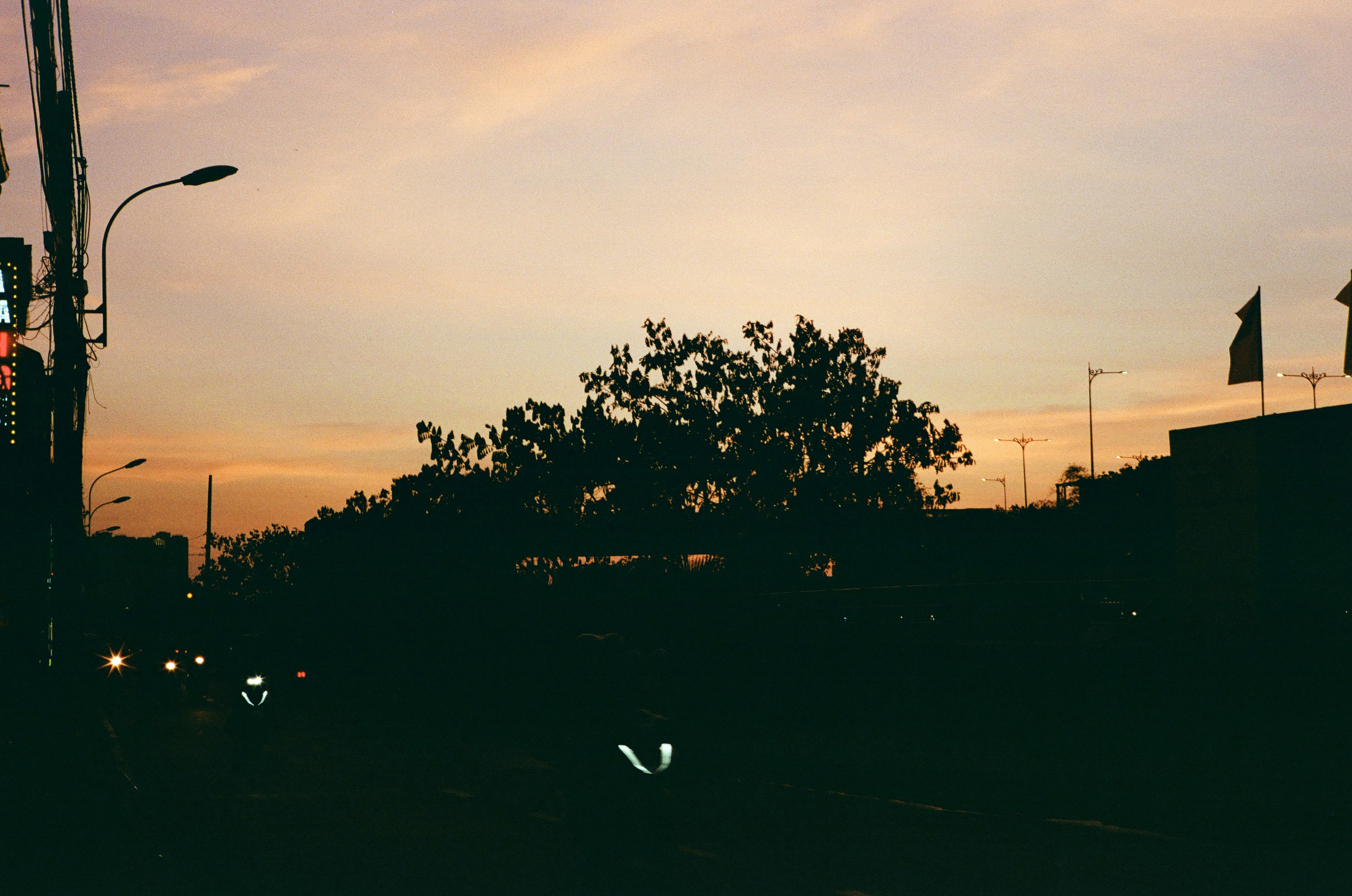 Photo by donguyenkhanhs