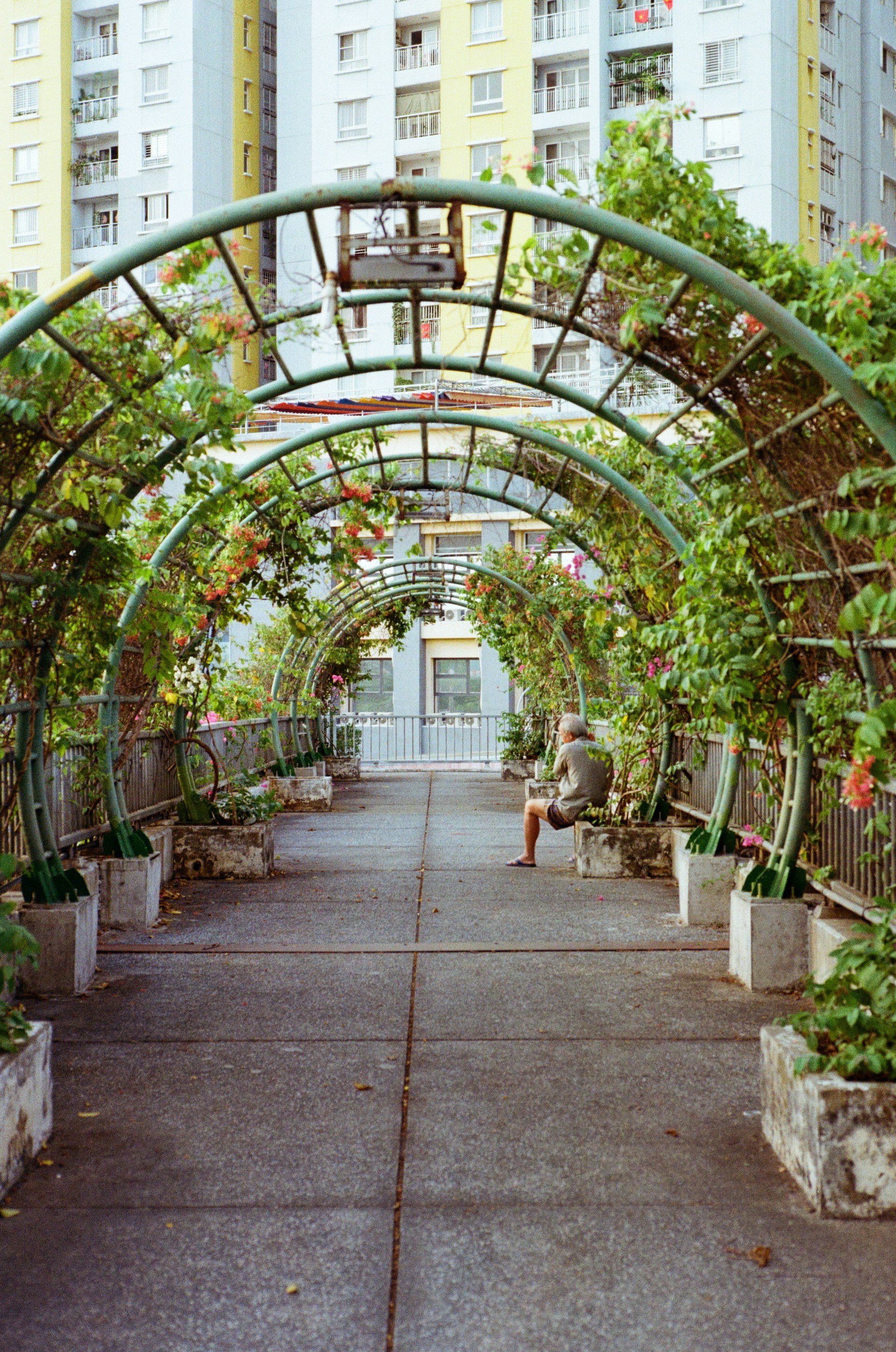 Photo by donguyenkhanhs