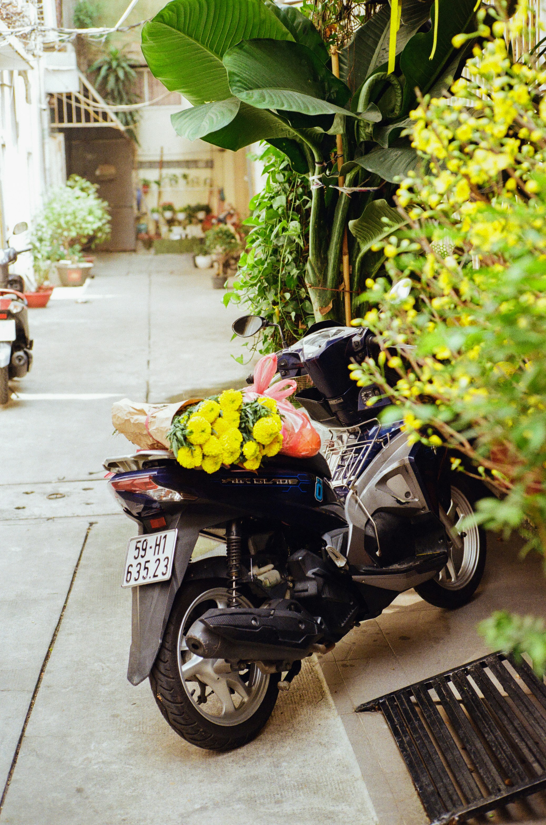 Motorcycle with yellow flowers parked in alleyway.