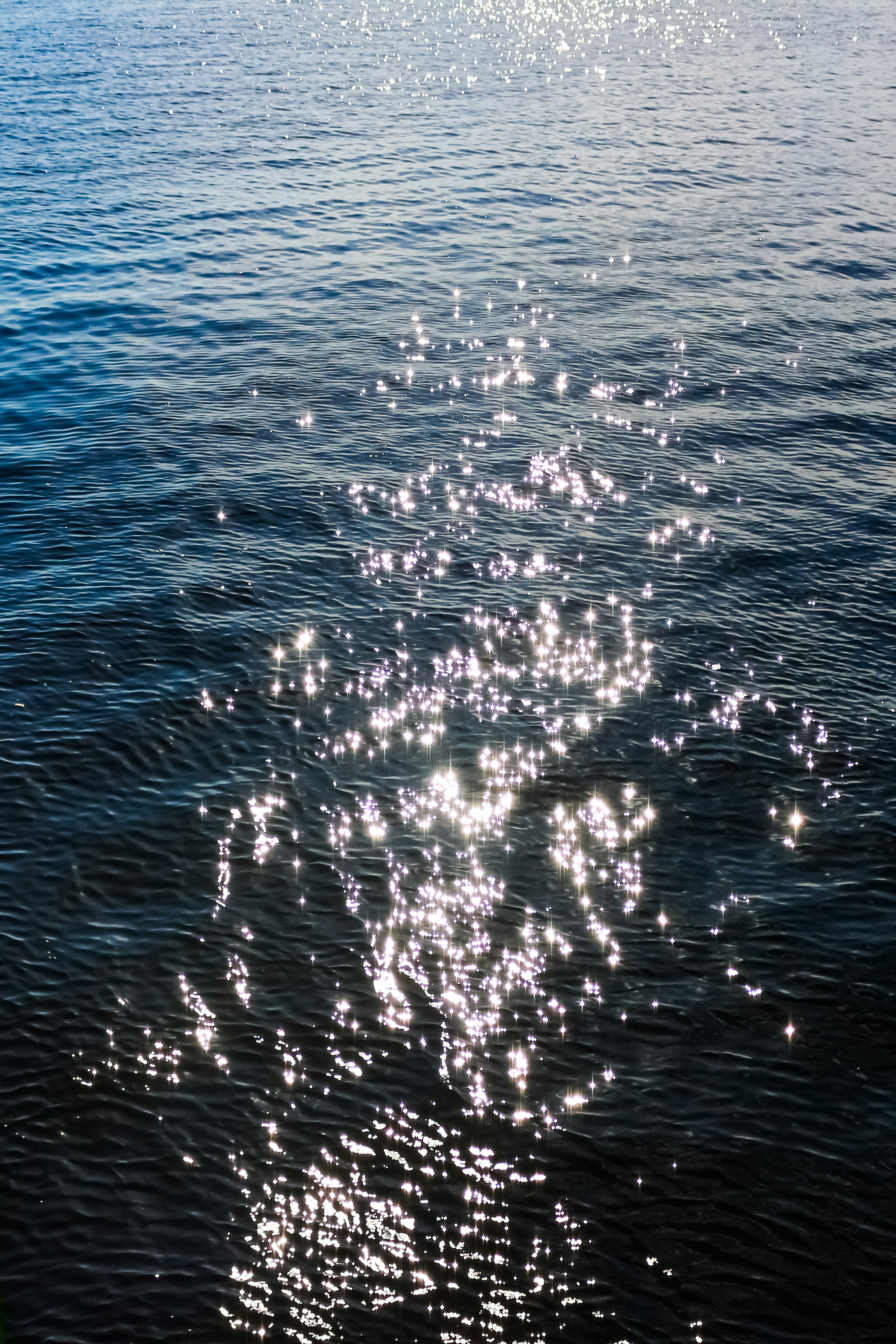 Photo by italoguimas