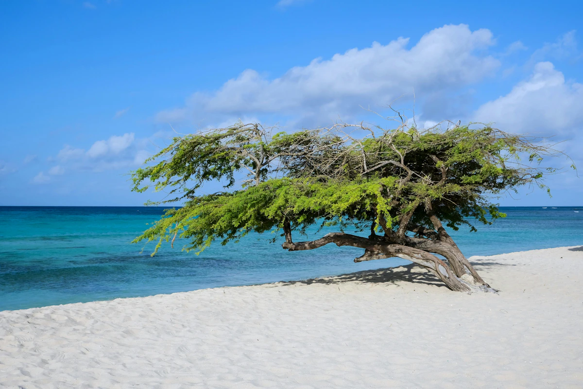 Aruba