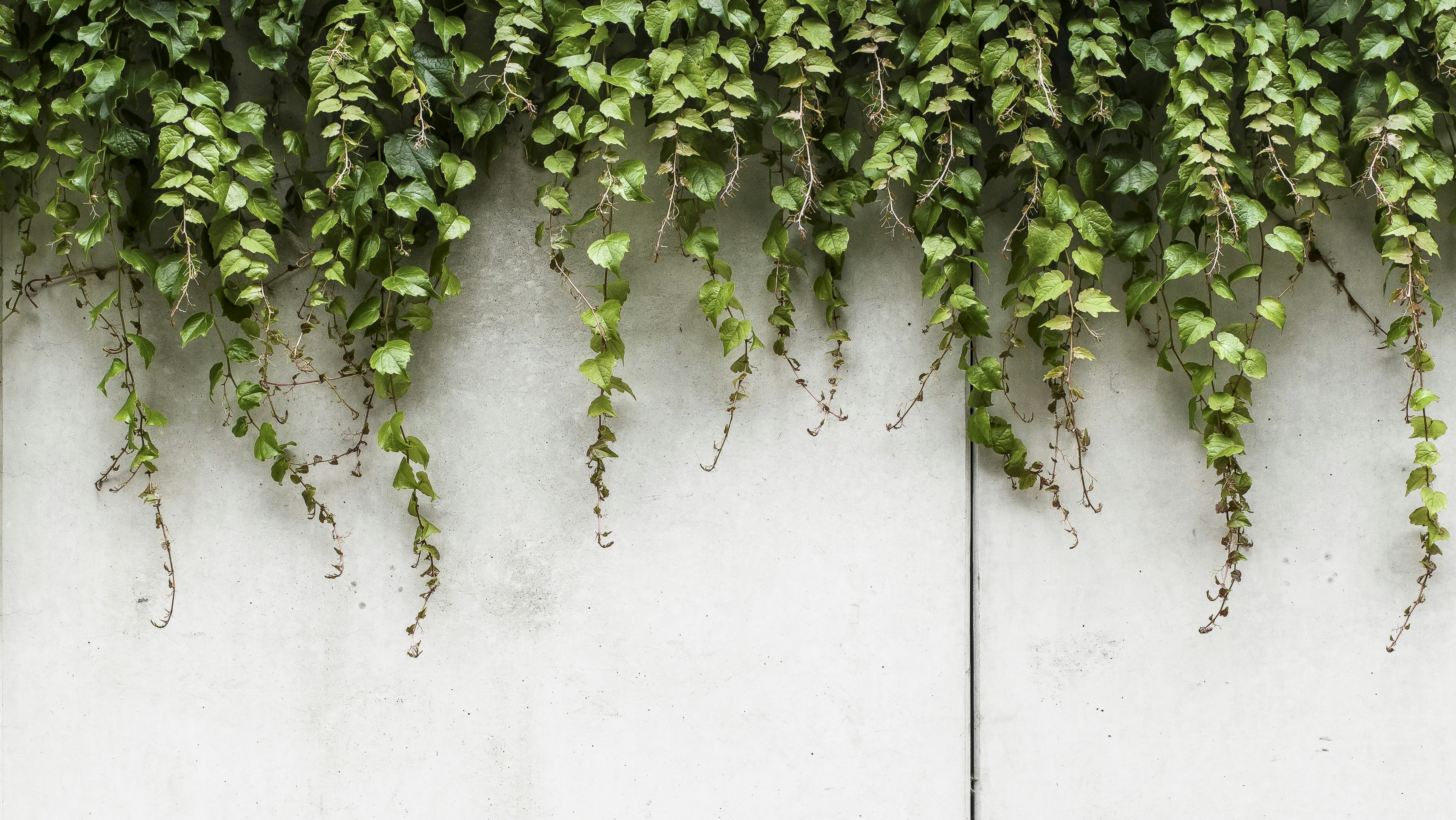 Photo by christian_keybets