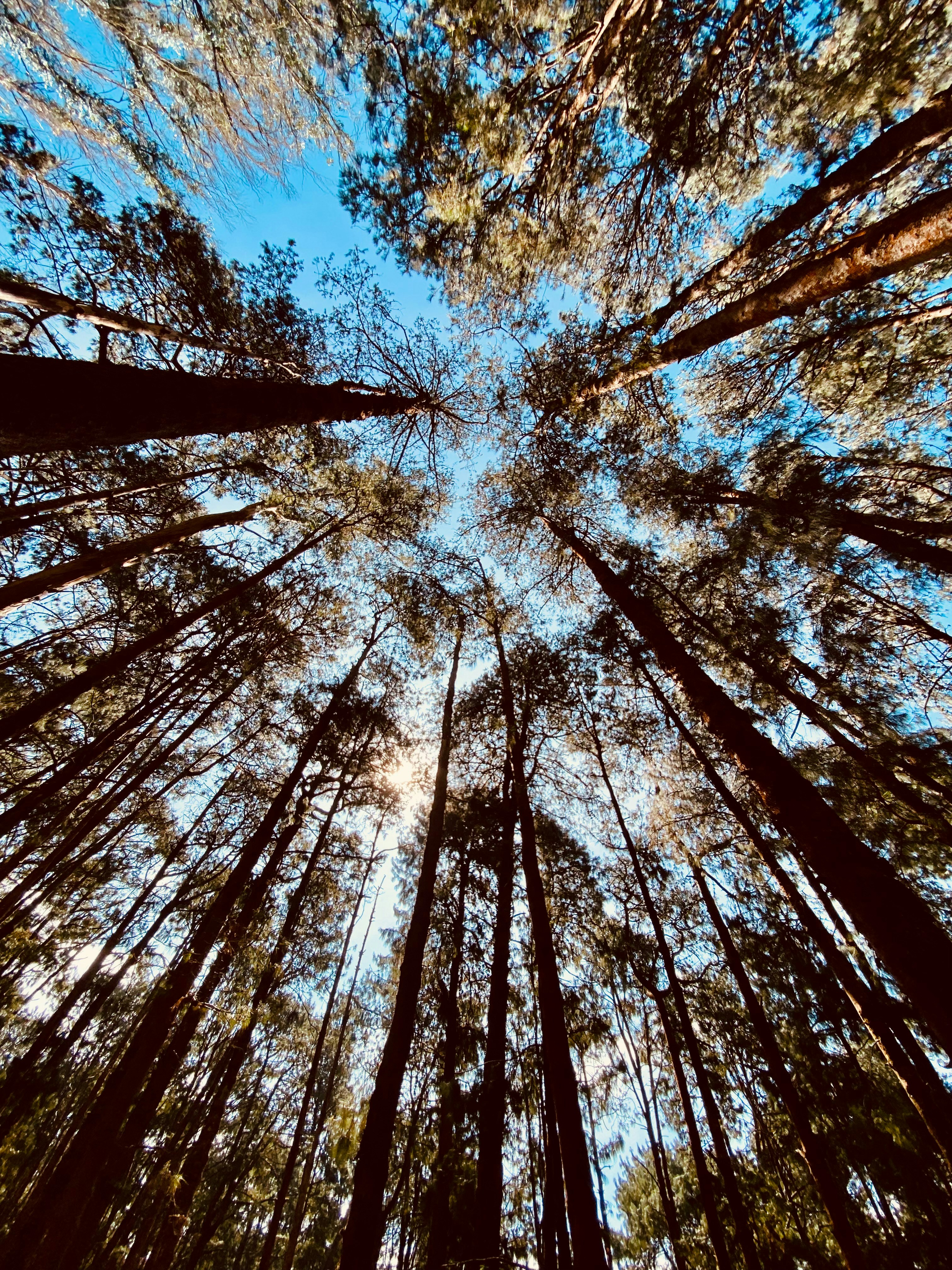 Photo by valmikiudaysai