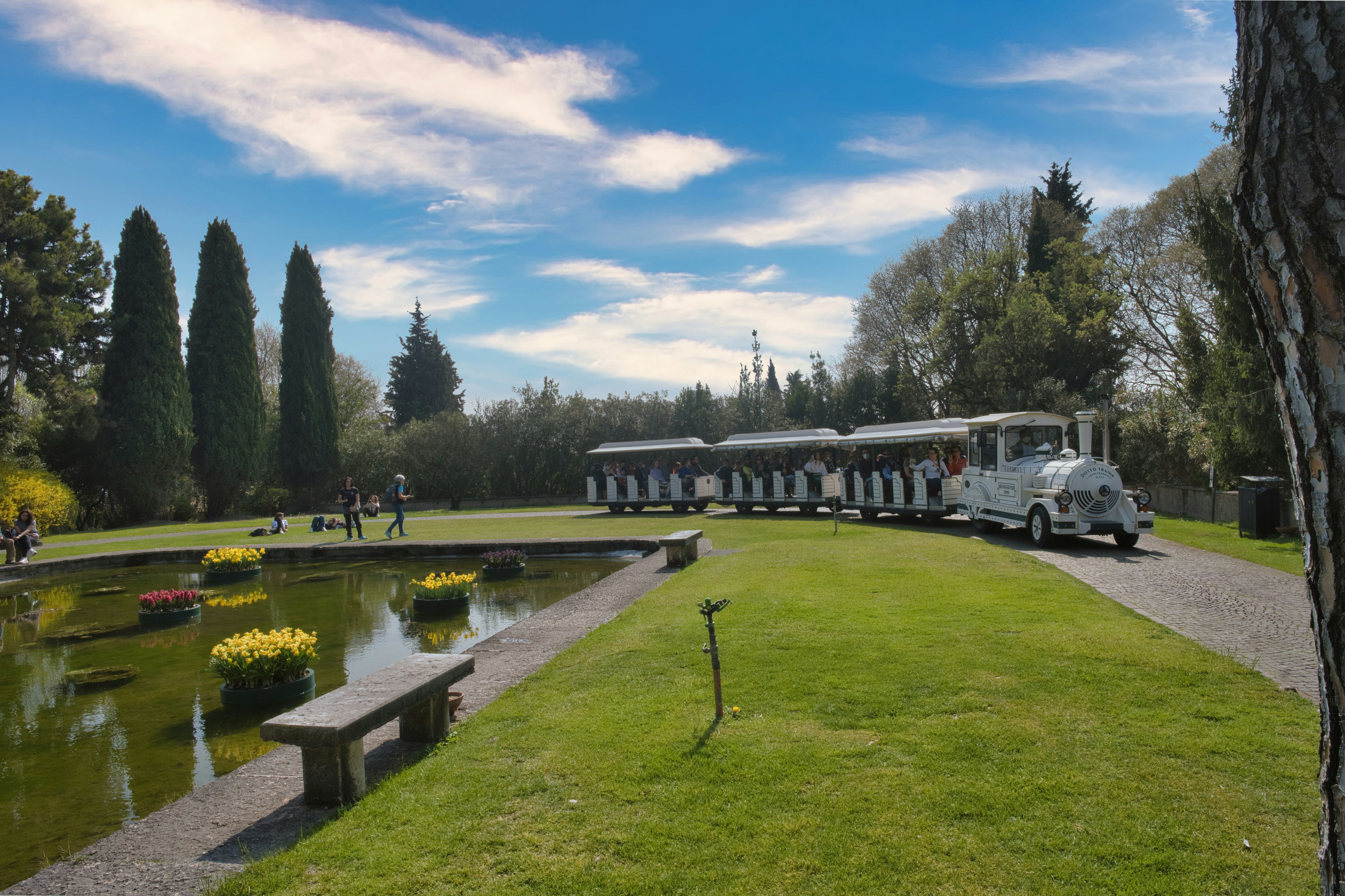 A small train travels through a park with a pond
