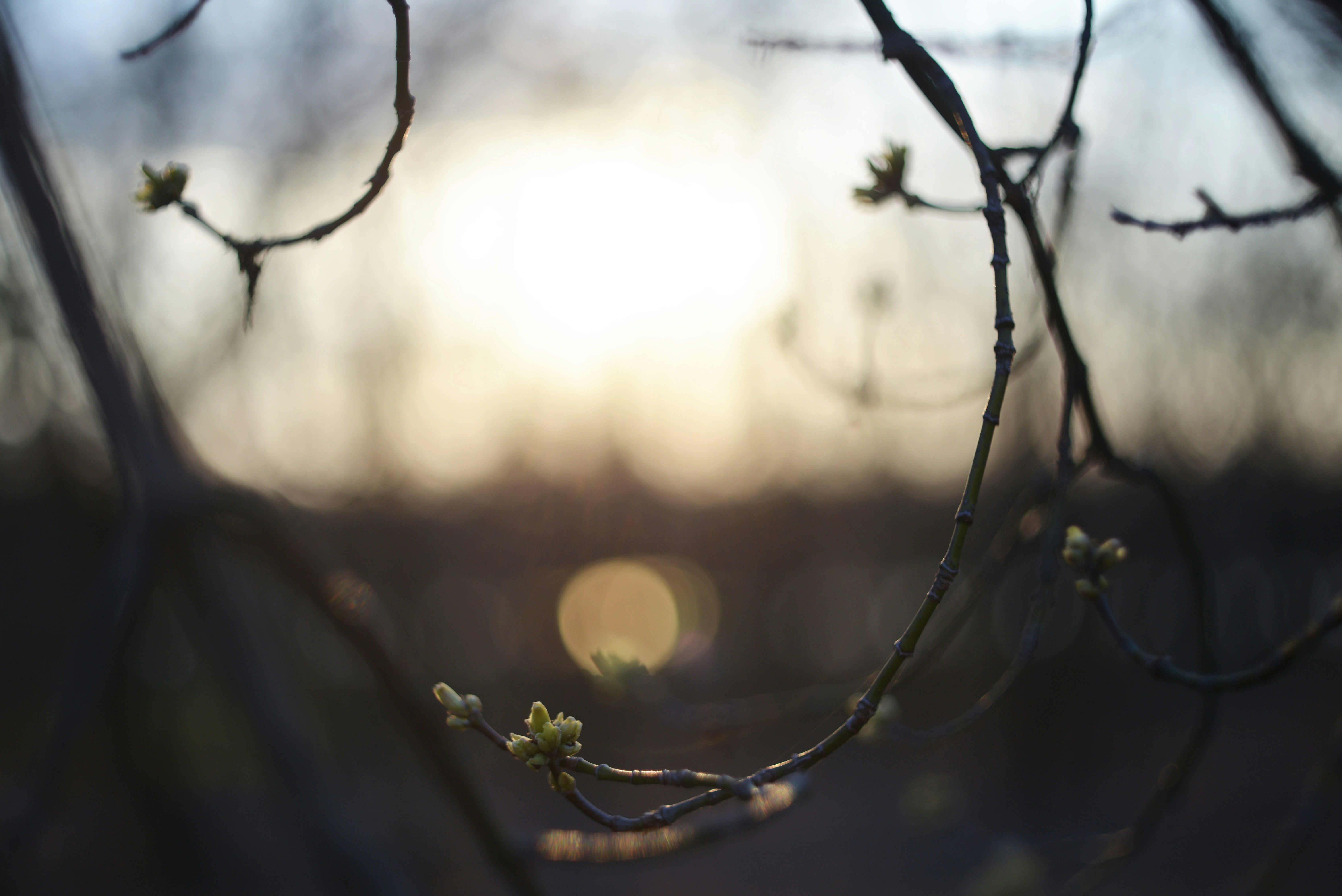 Photo by cherstve_pechivo