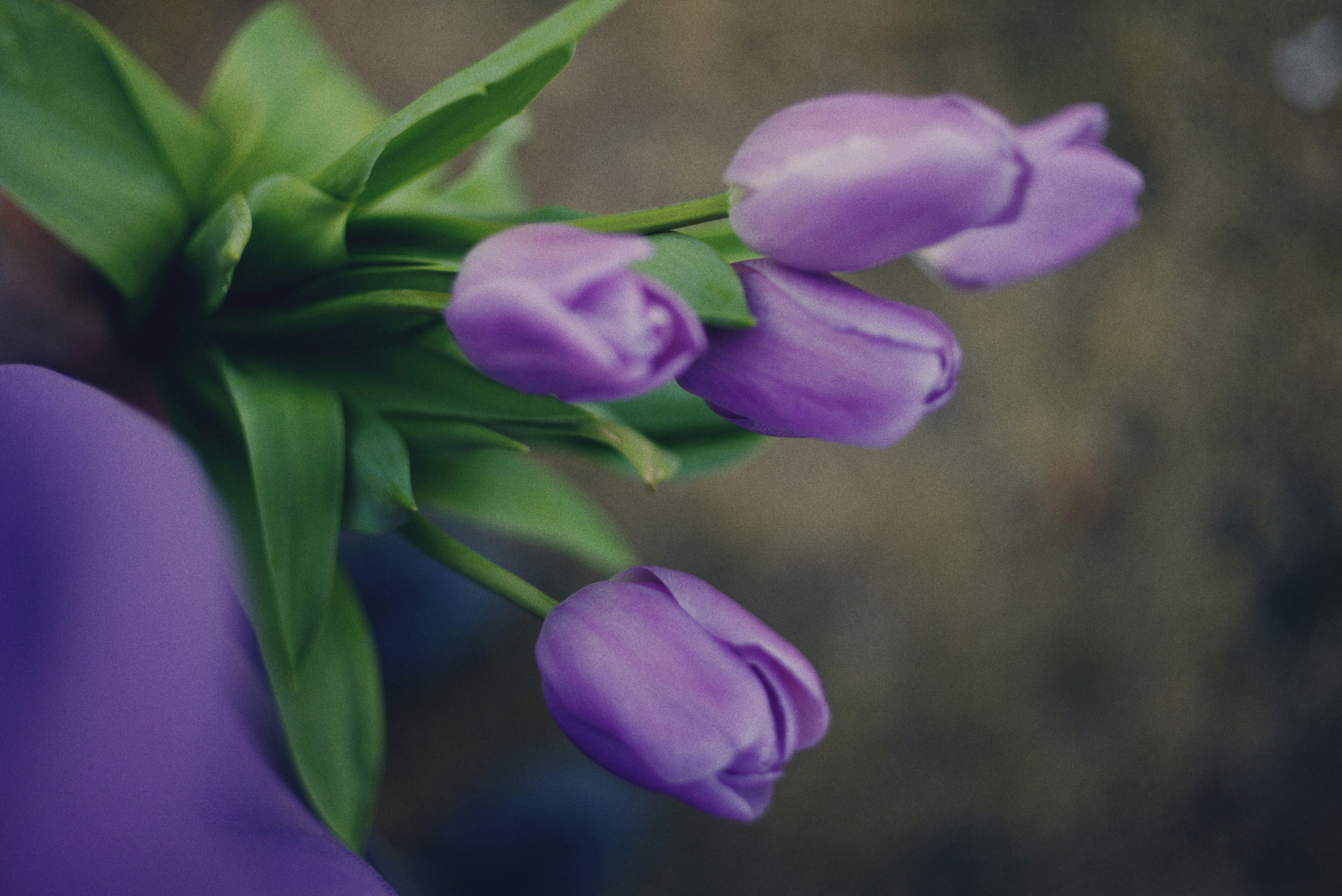 Photo by cherstve_pechivo