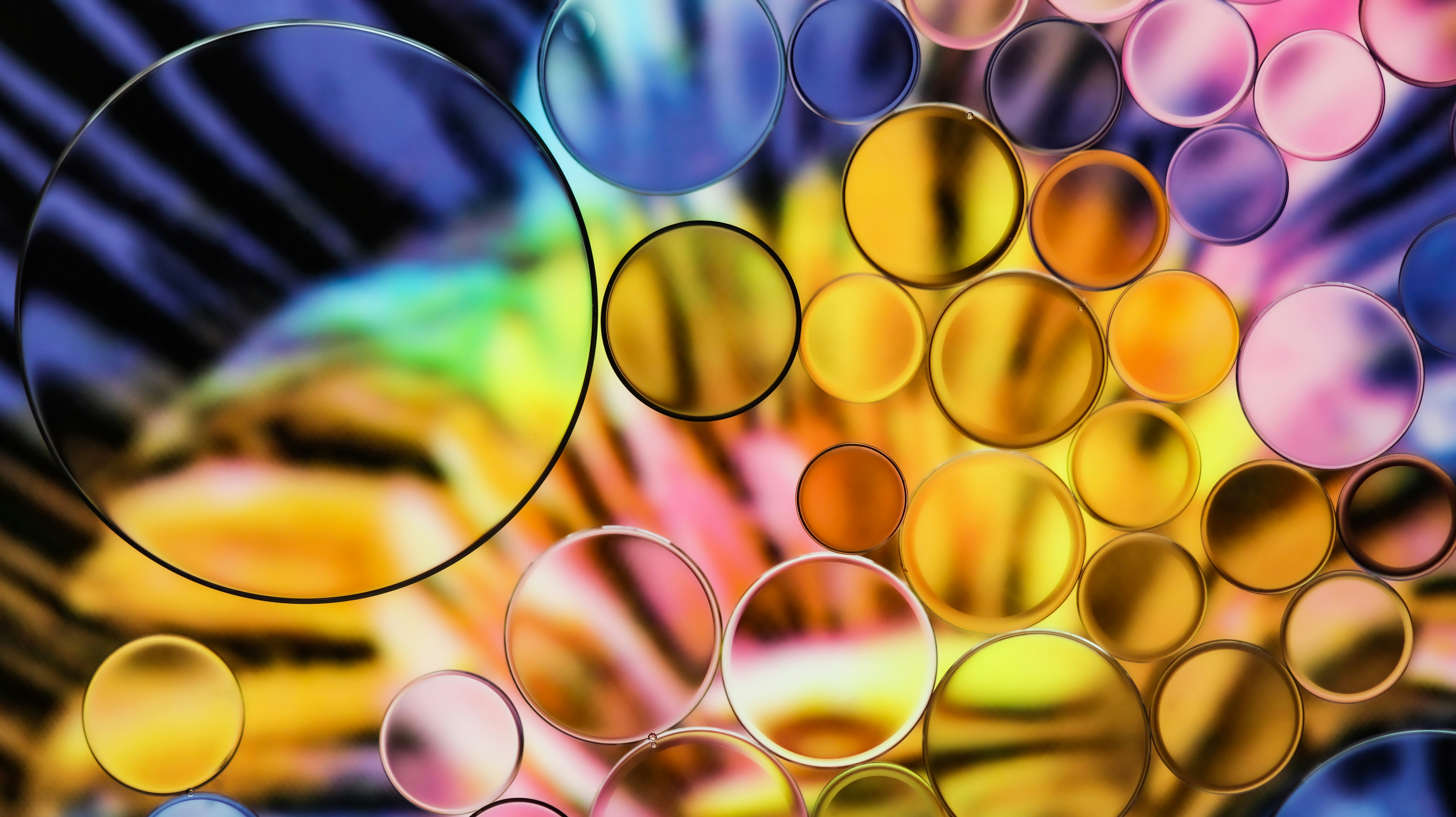 Photo by susan_wilkinson