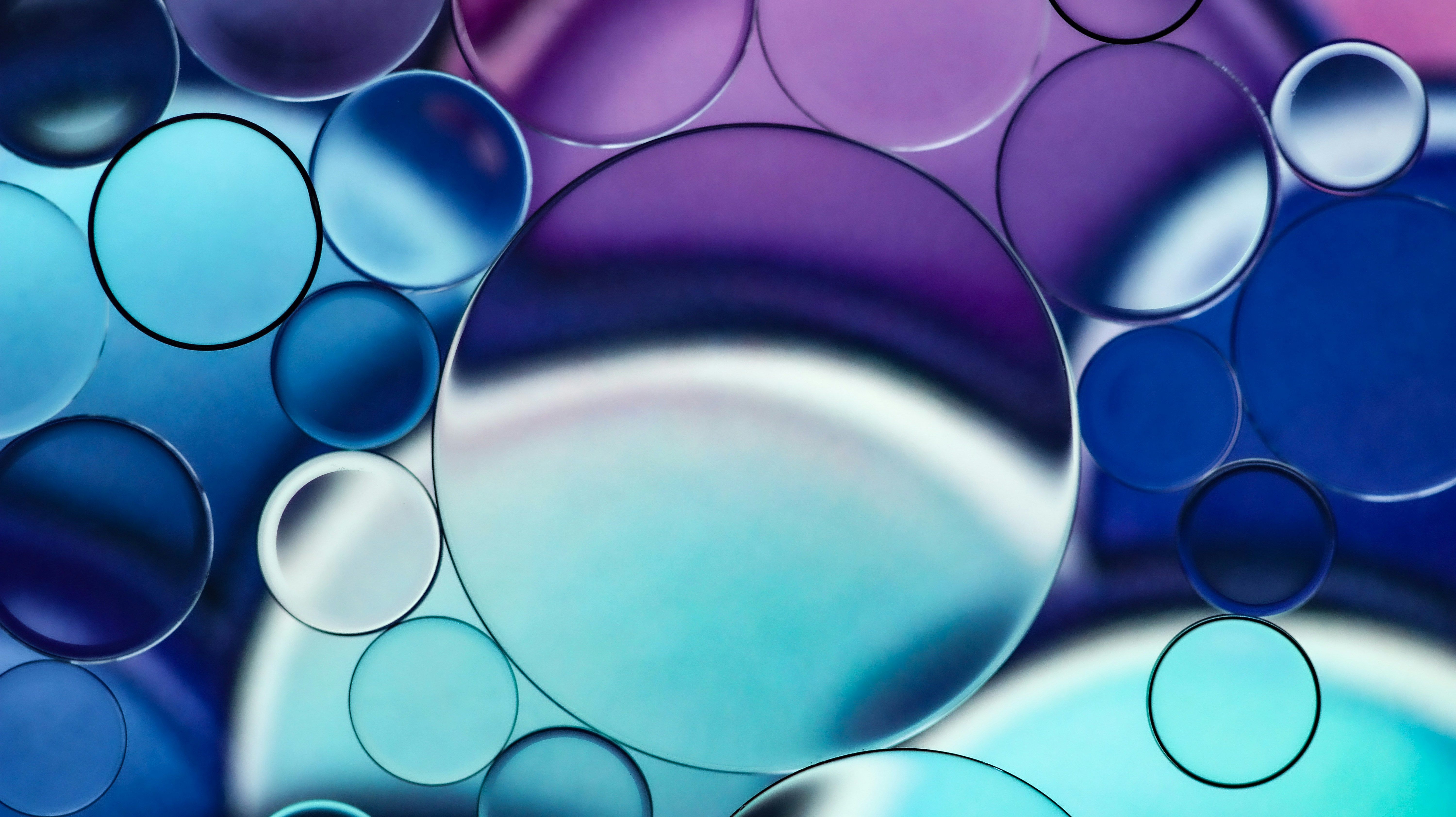 Photo by susan_wilkinson