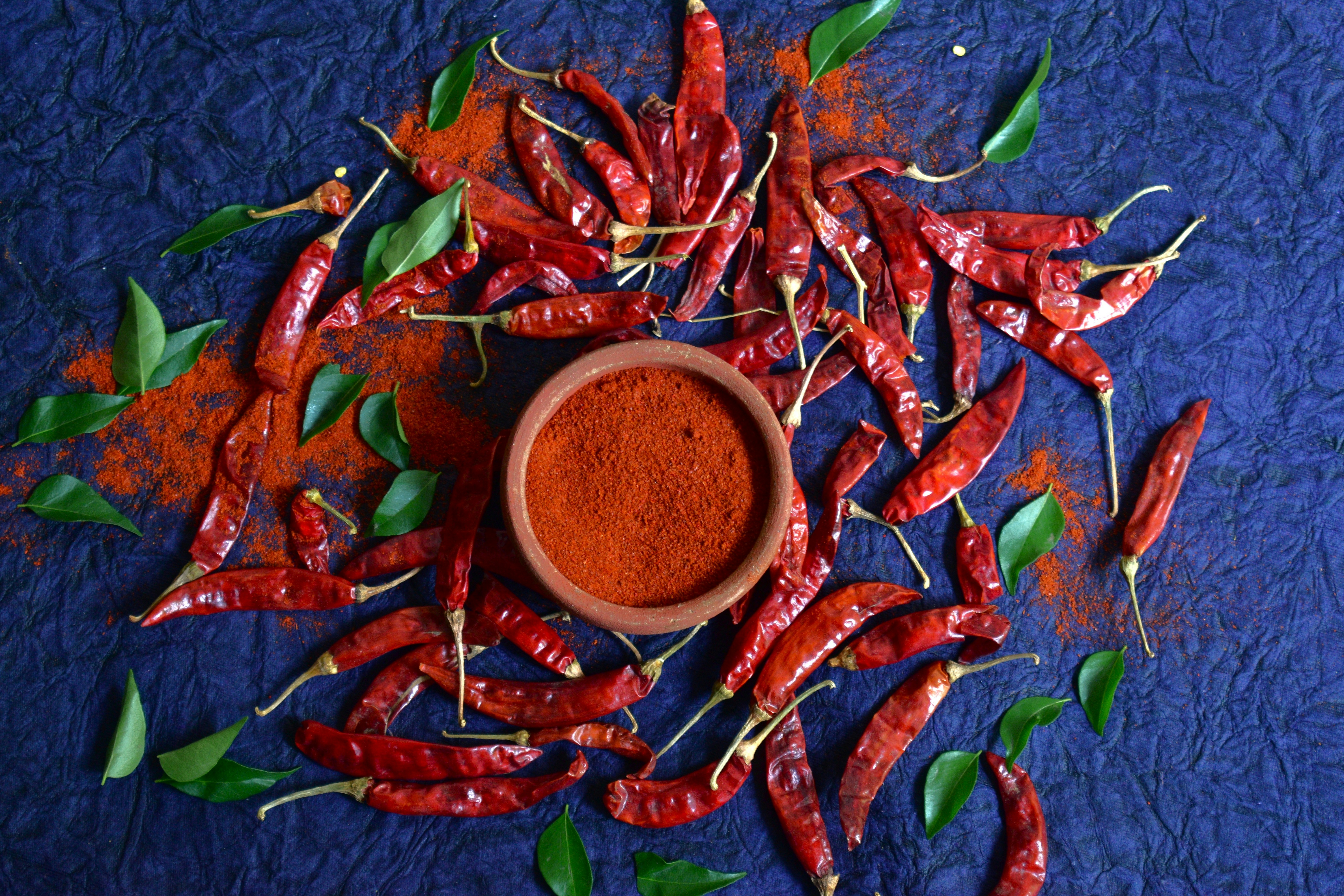 Dried red chilies and chili powder arranged with leaves