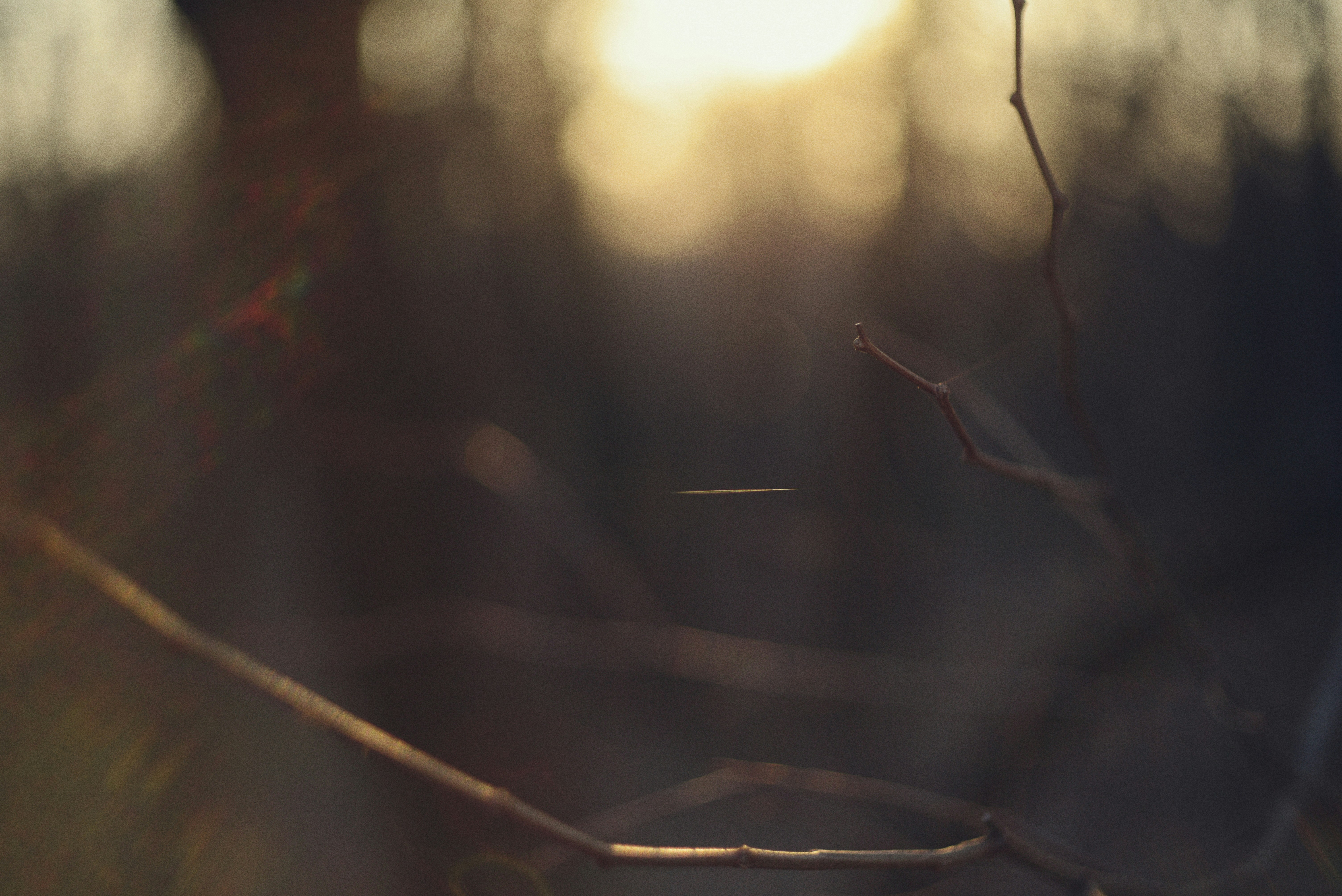 Photo by cherstve_pechivo