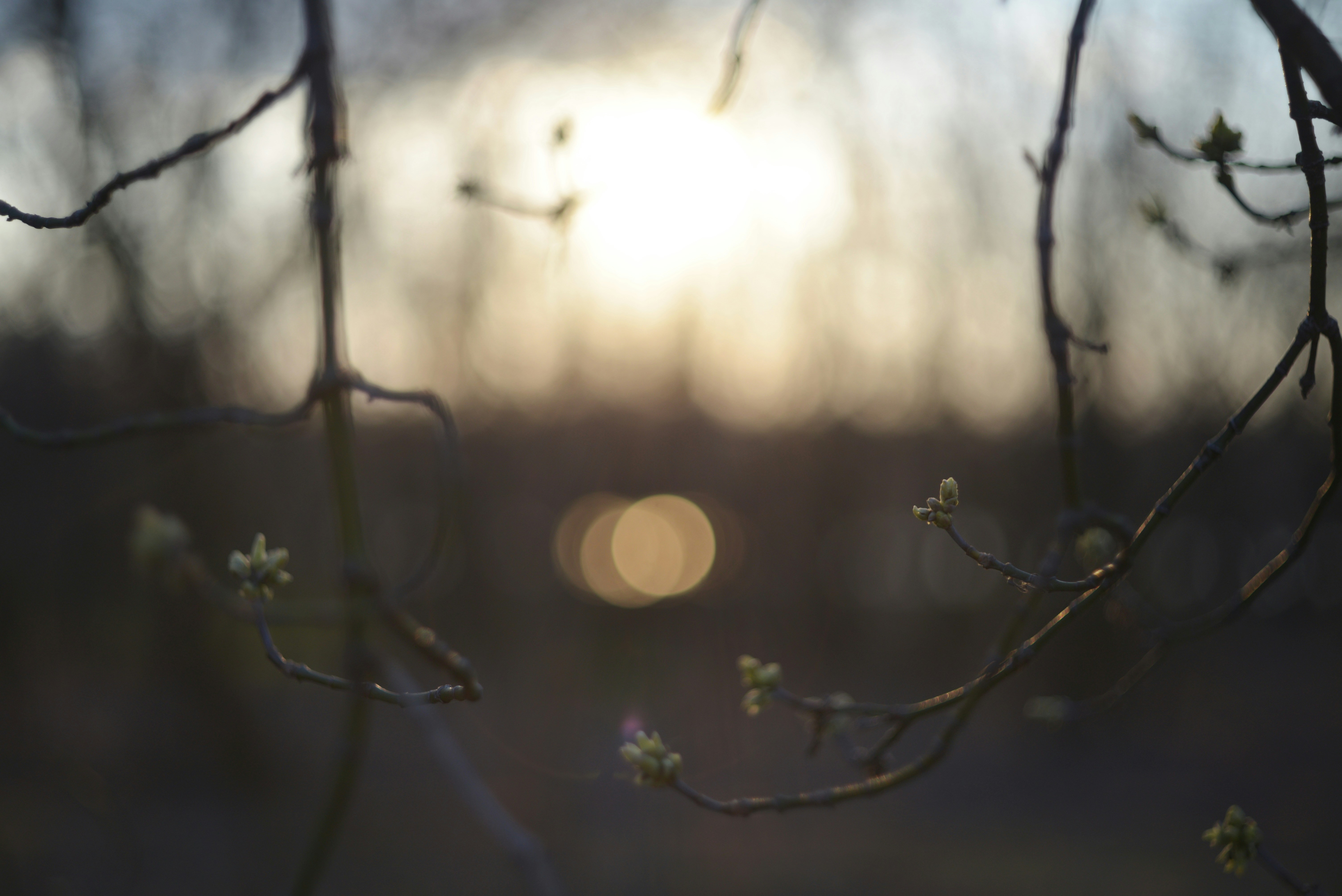 Photo by cherstve_pechivo