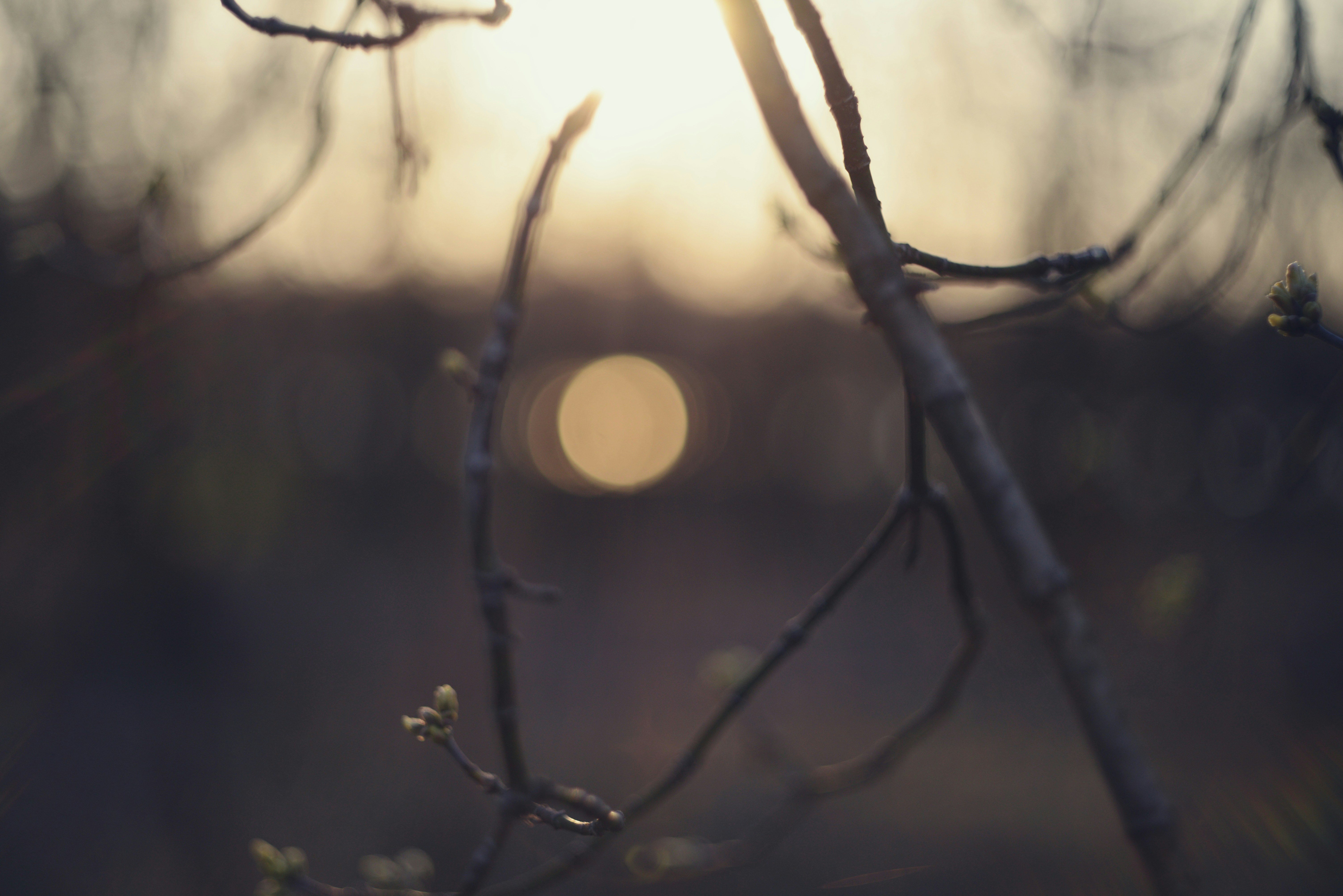 Photo by cherstve_pechivo