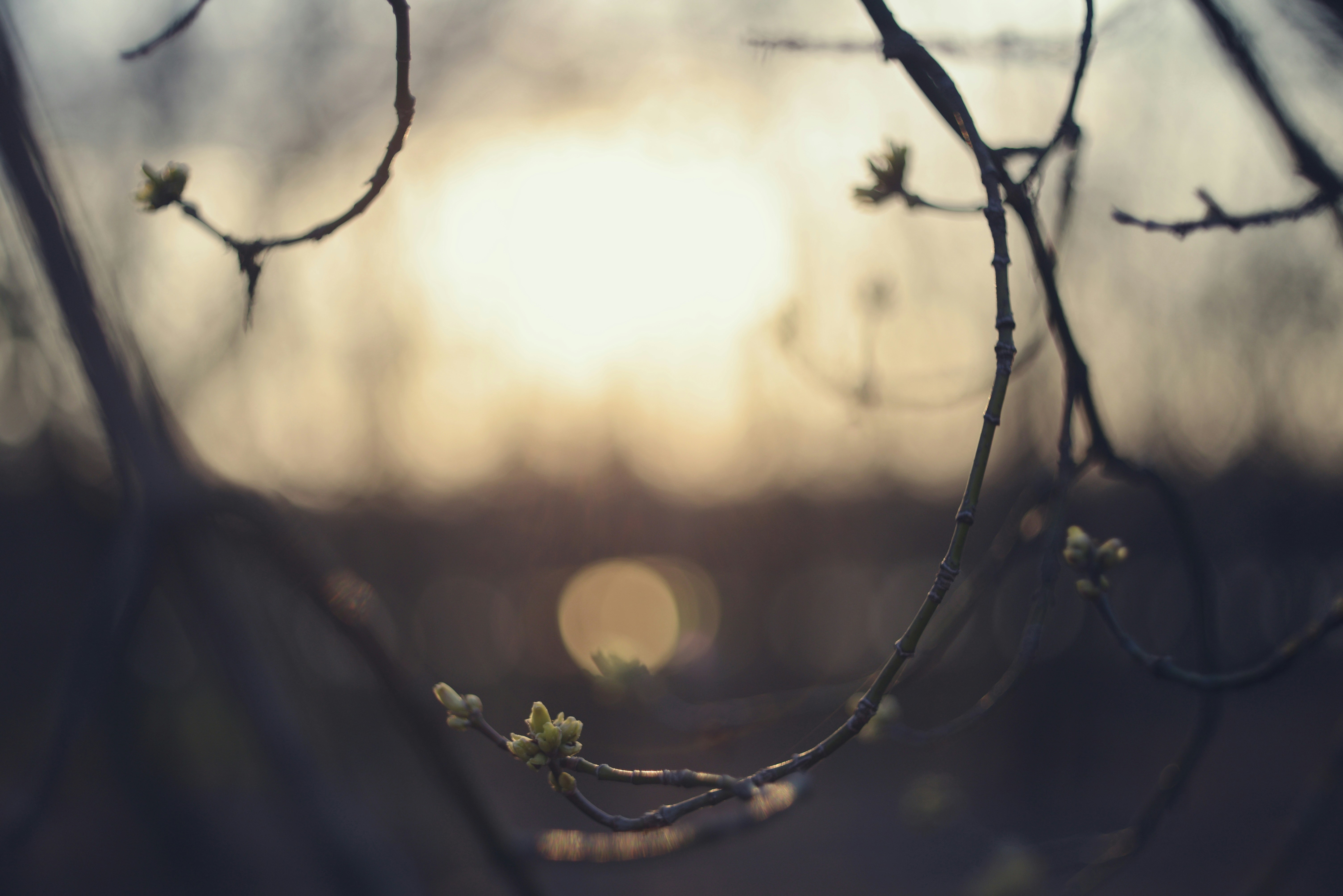 Photo by cherstve_pechivo