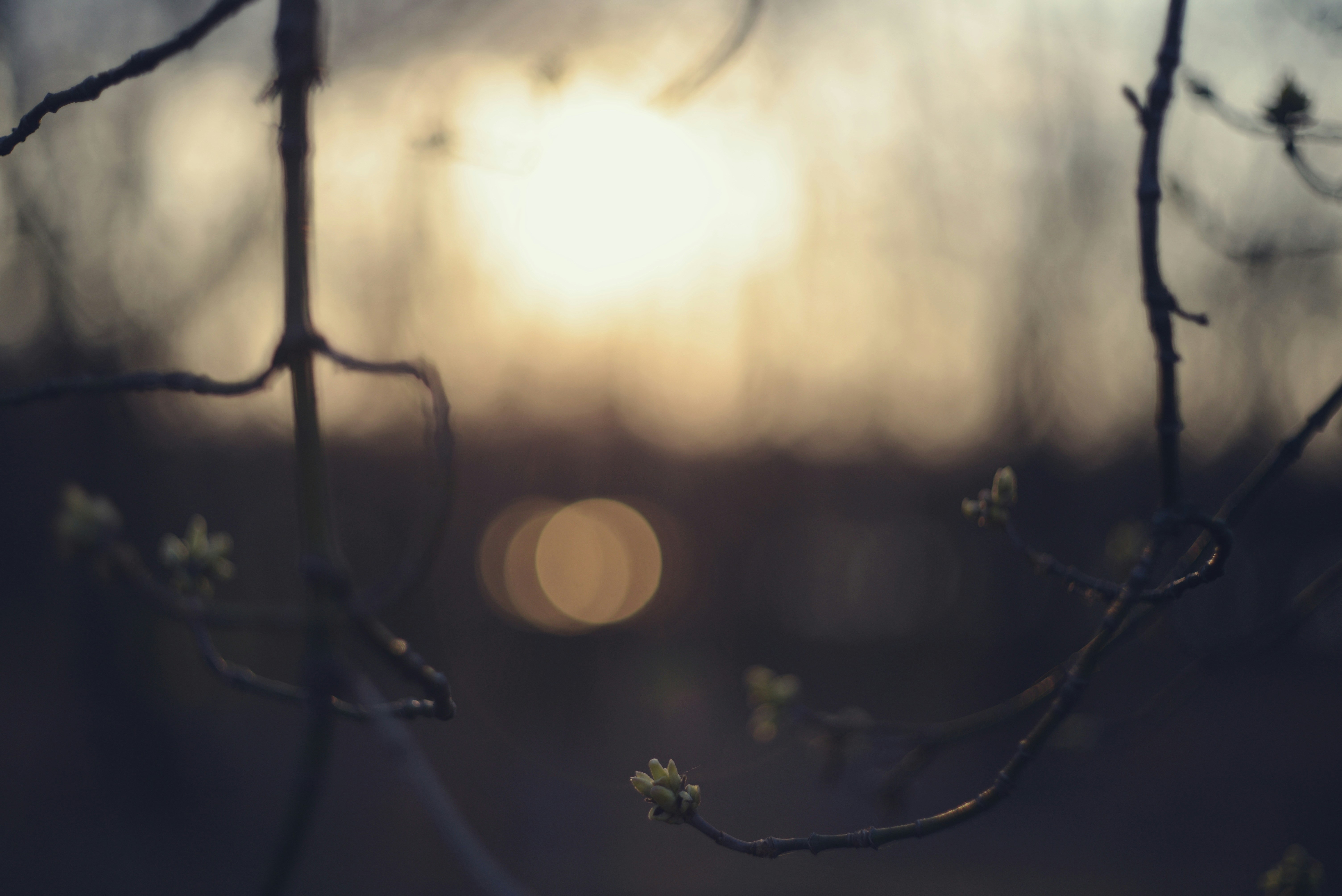 Photo by cherstve_pechivo