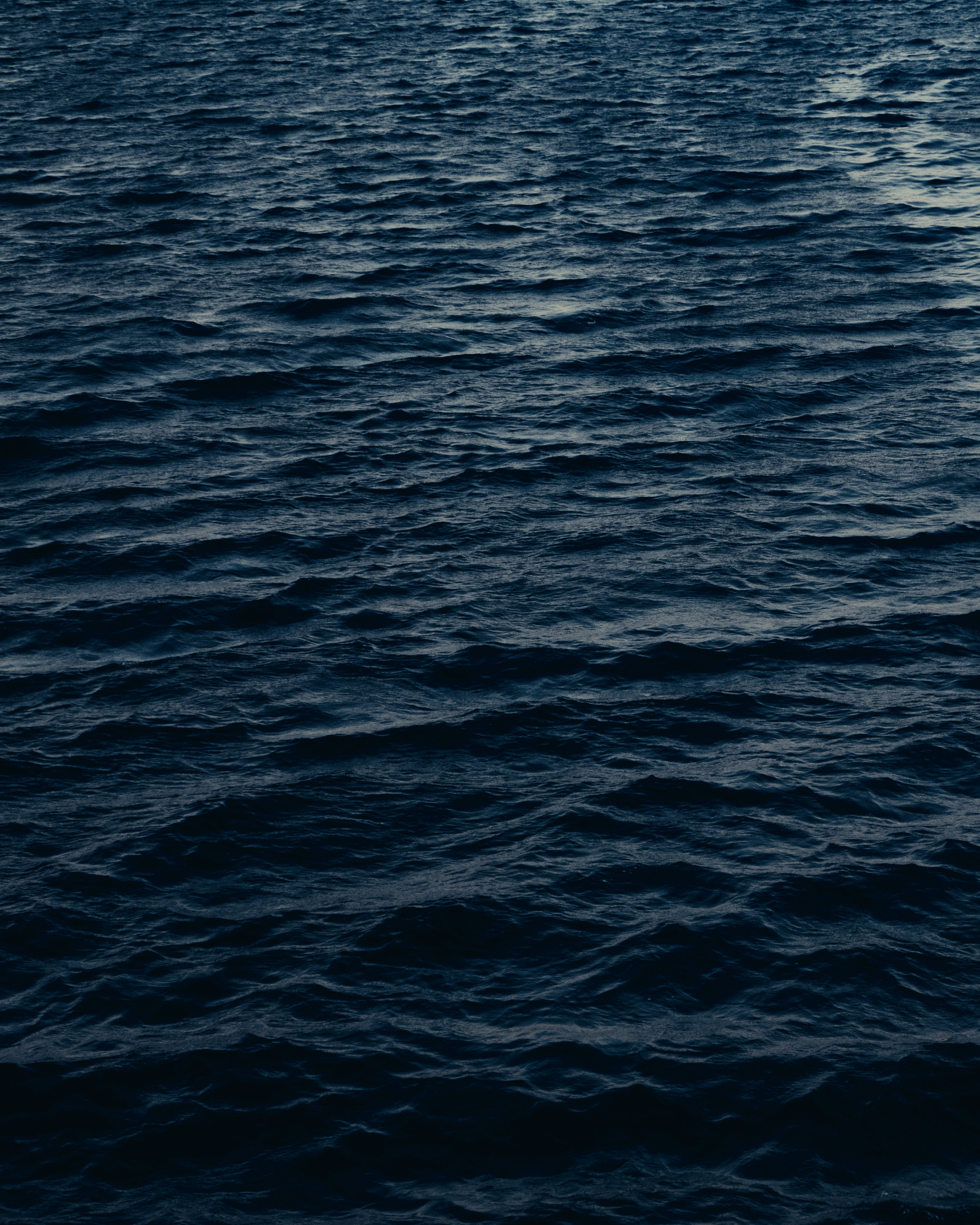 Photo by abdelbasst16